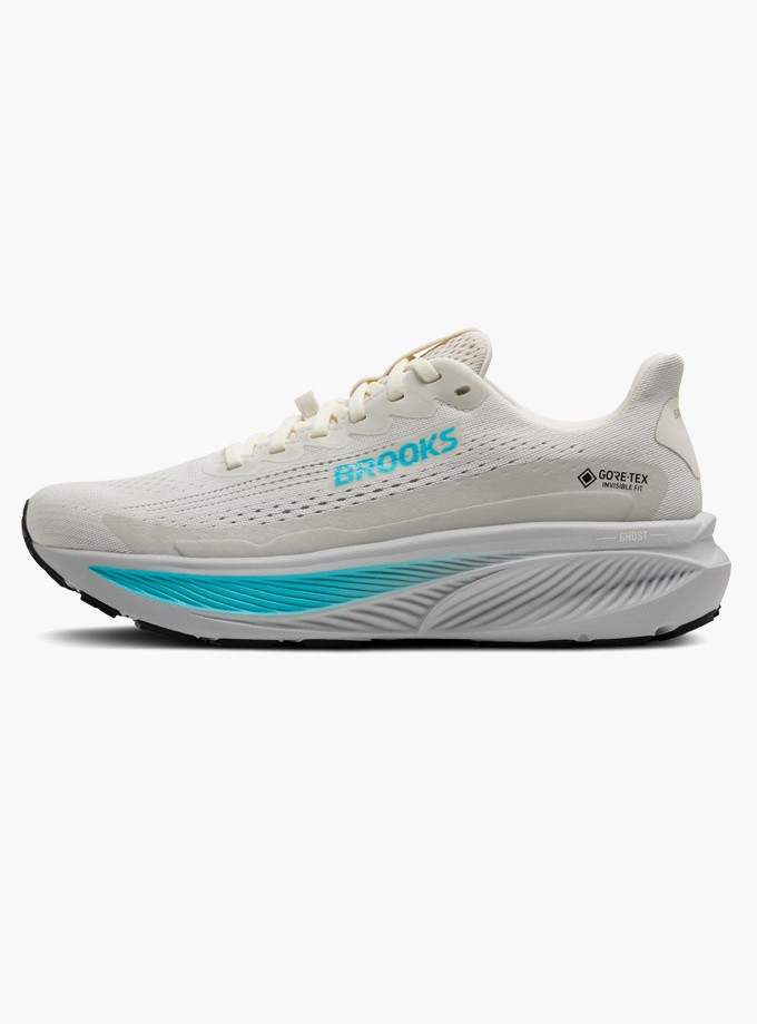 Brooks Ghost 17 Gtx Kadın Koşu Ayakkabısı