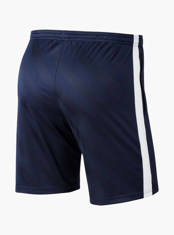 Nike Academy 19 Short Erkek Şort