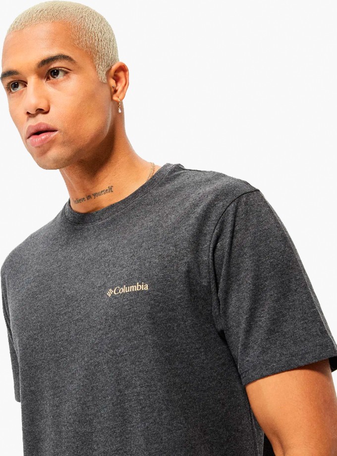 Columbia Basic Logo Brushed Erkek T-Shirt 9110151-012