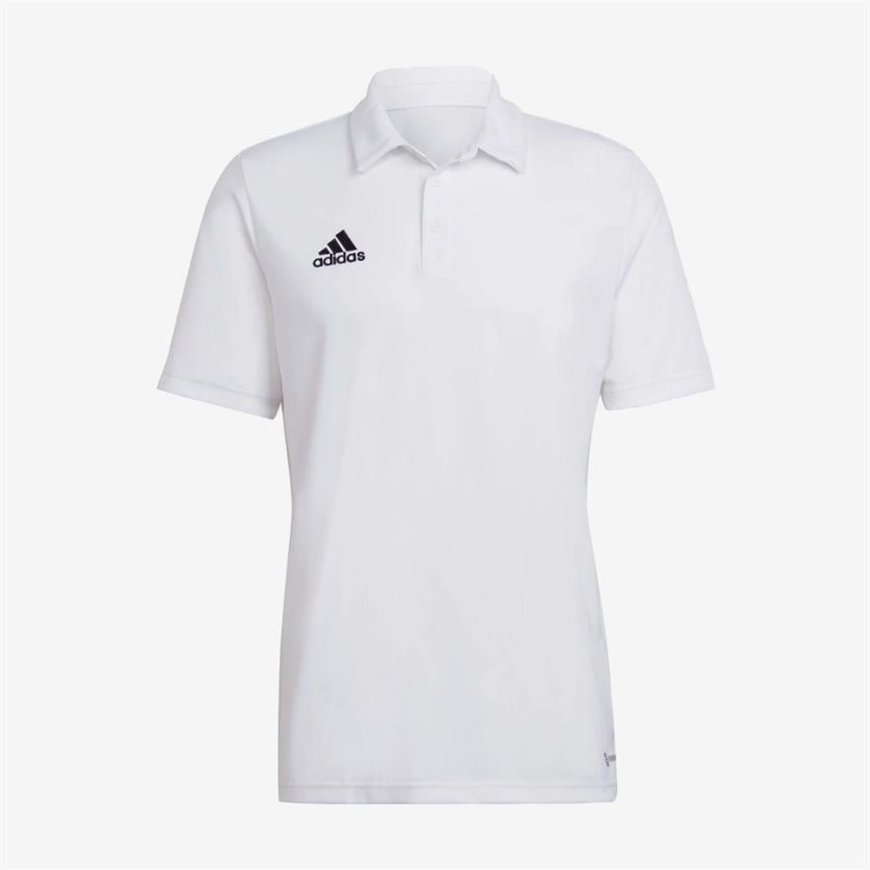 adidas Entrada 22  Erkek Polo Yaka T-shirt HC5067