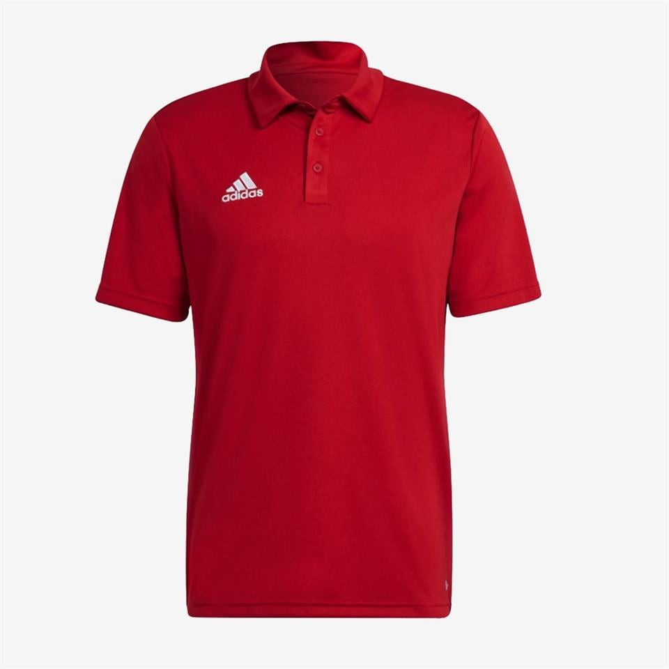 Adidas Entrada 22 Polo Erkek Polo Yaka Tişört