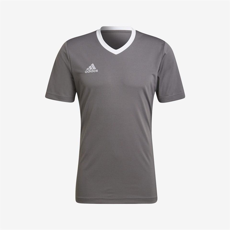 Adidas Entrada 22 Jersey Erkek Forma