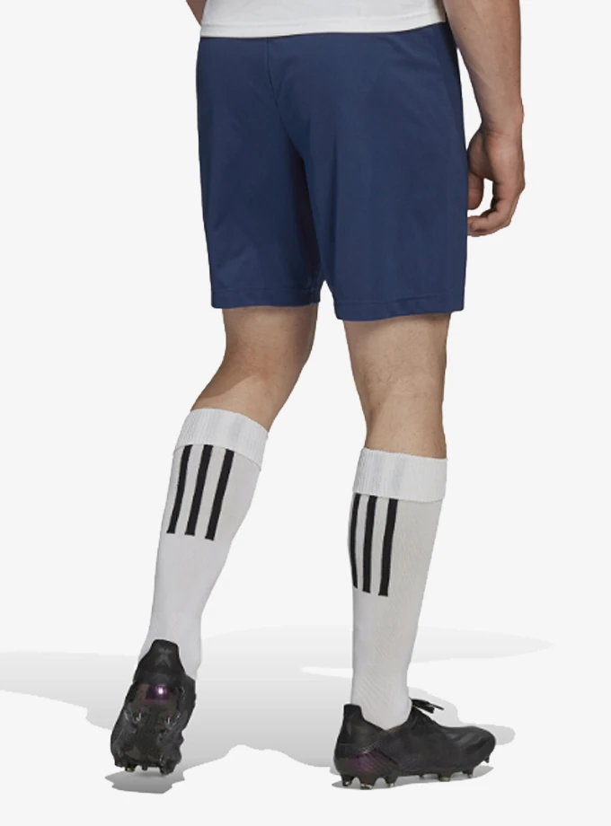 adidas H57506 Entrada 22 Shorts Erkek Maç Şortu 