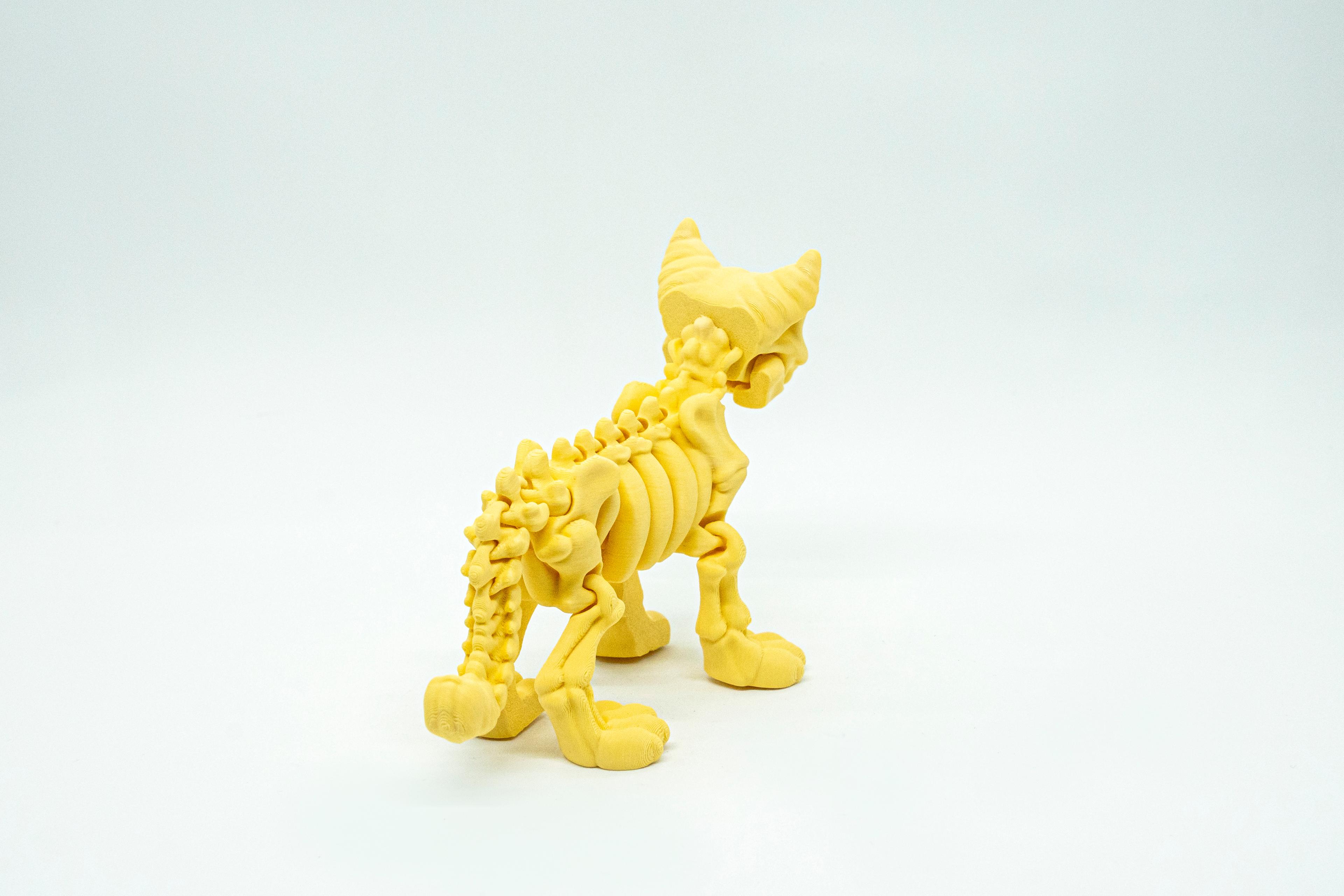 İskelet Kedi 3D Hareketli Model