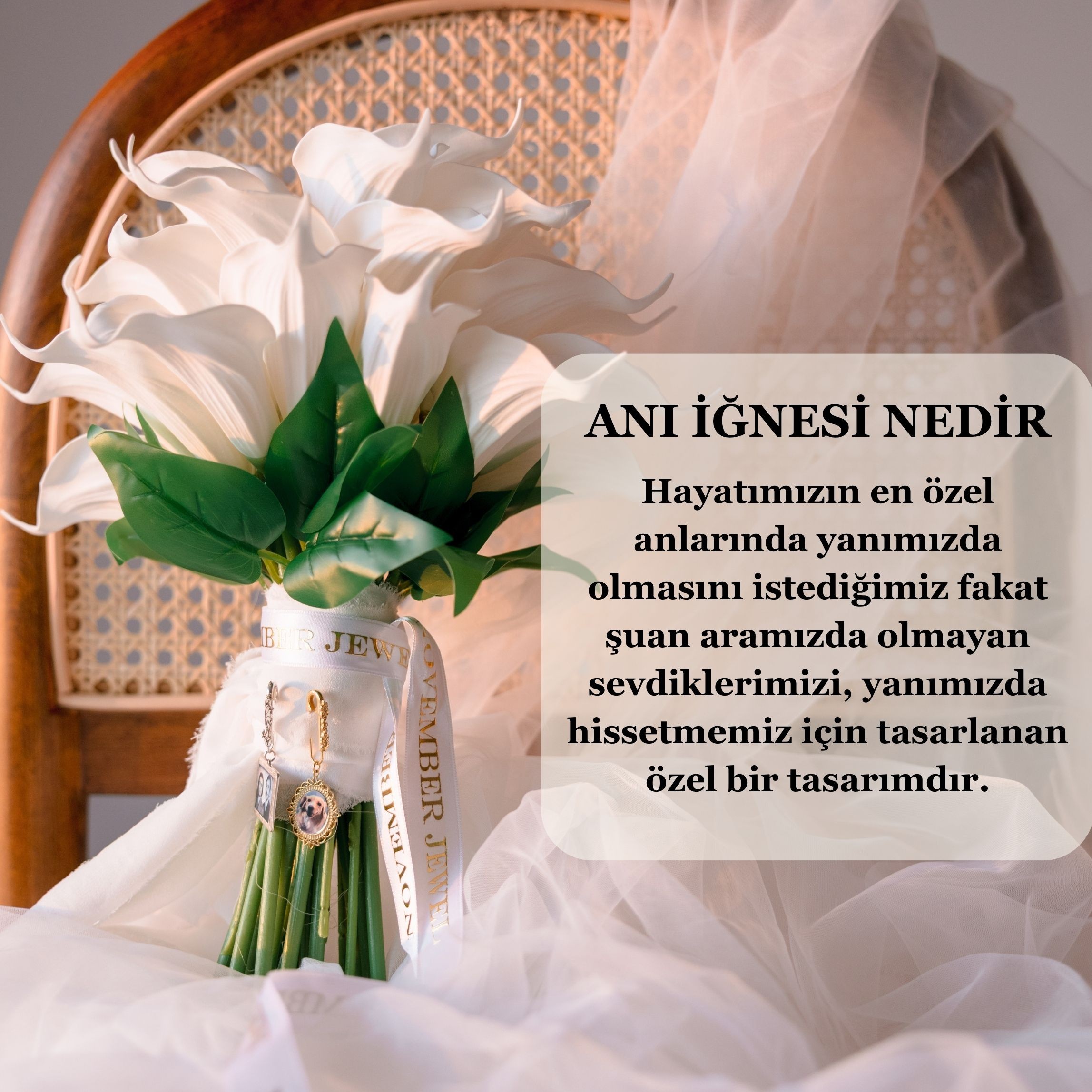 Anı İğnesi