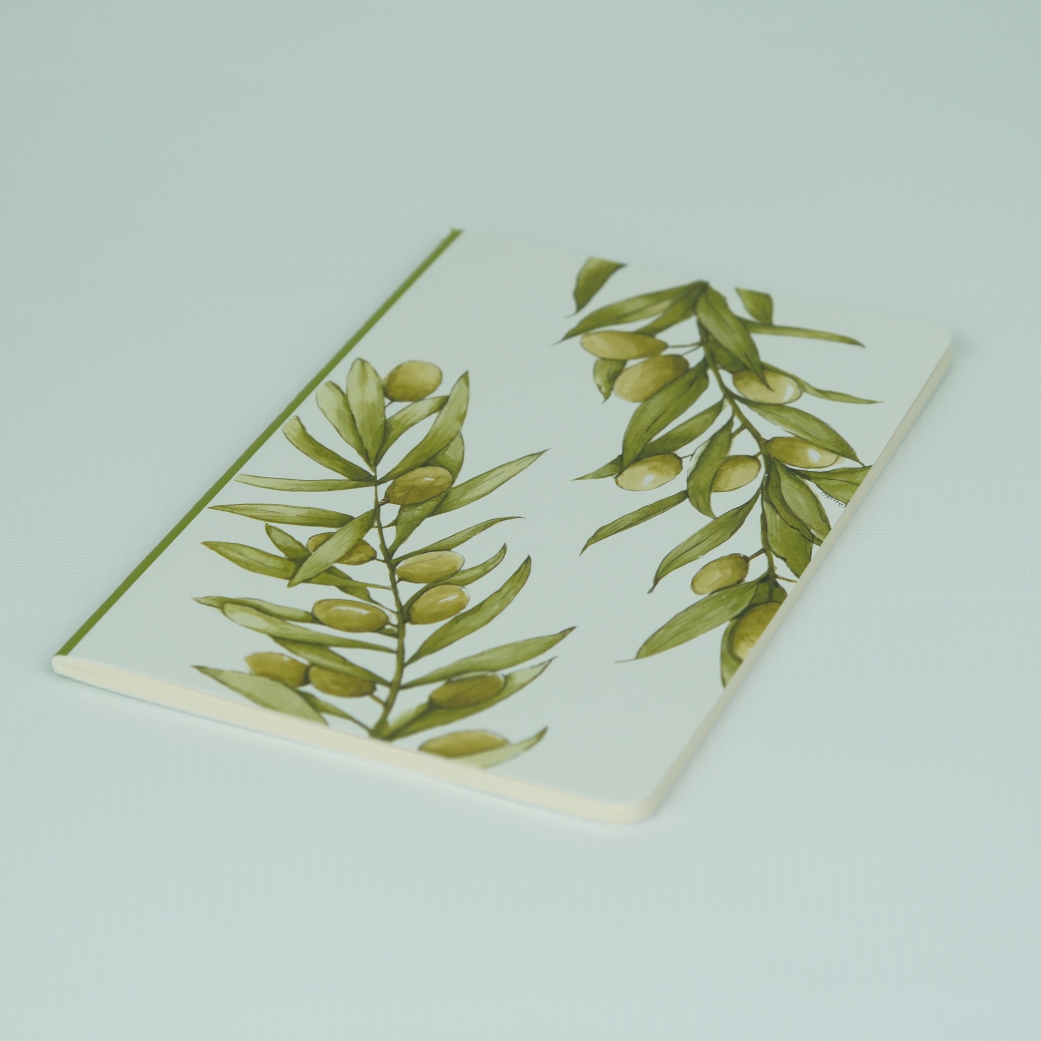 Zeytin Dalı Defter 