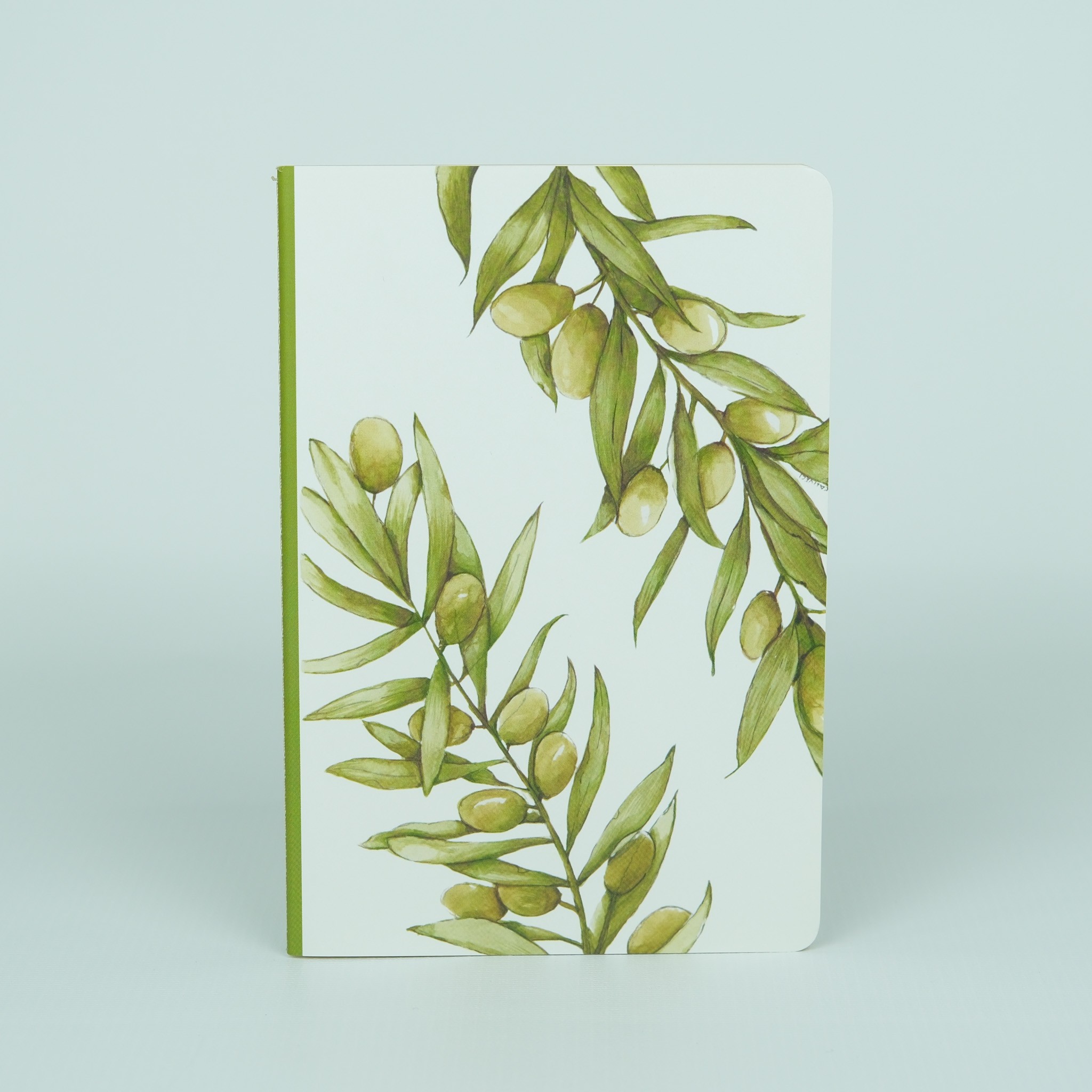 Zeytin Dalı Defter 