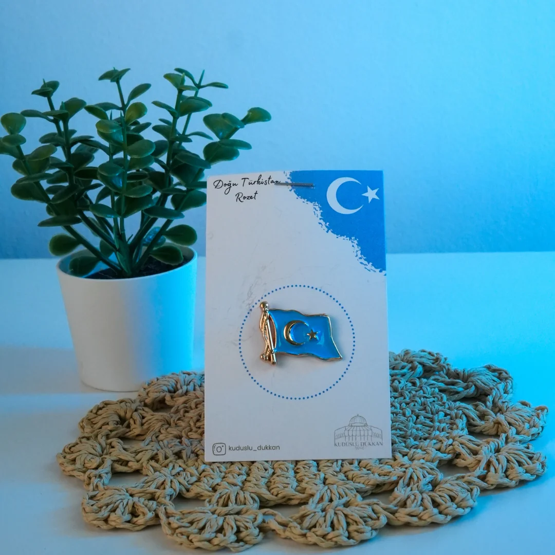 Doğu Türkistan Bayrağı Rozet
