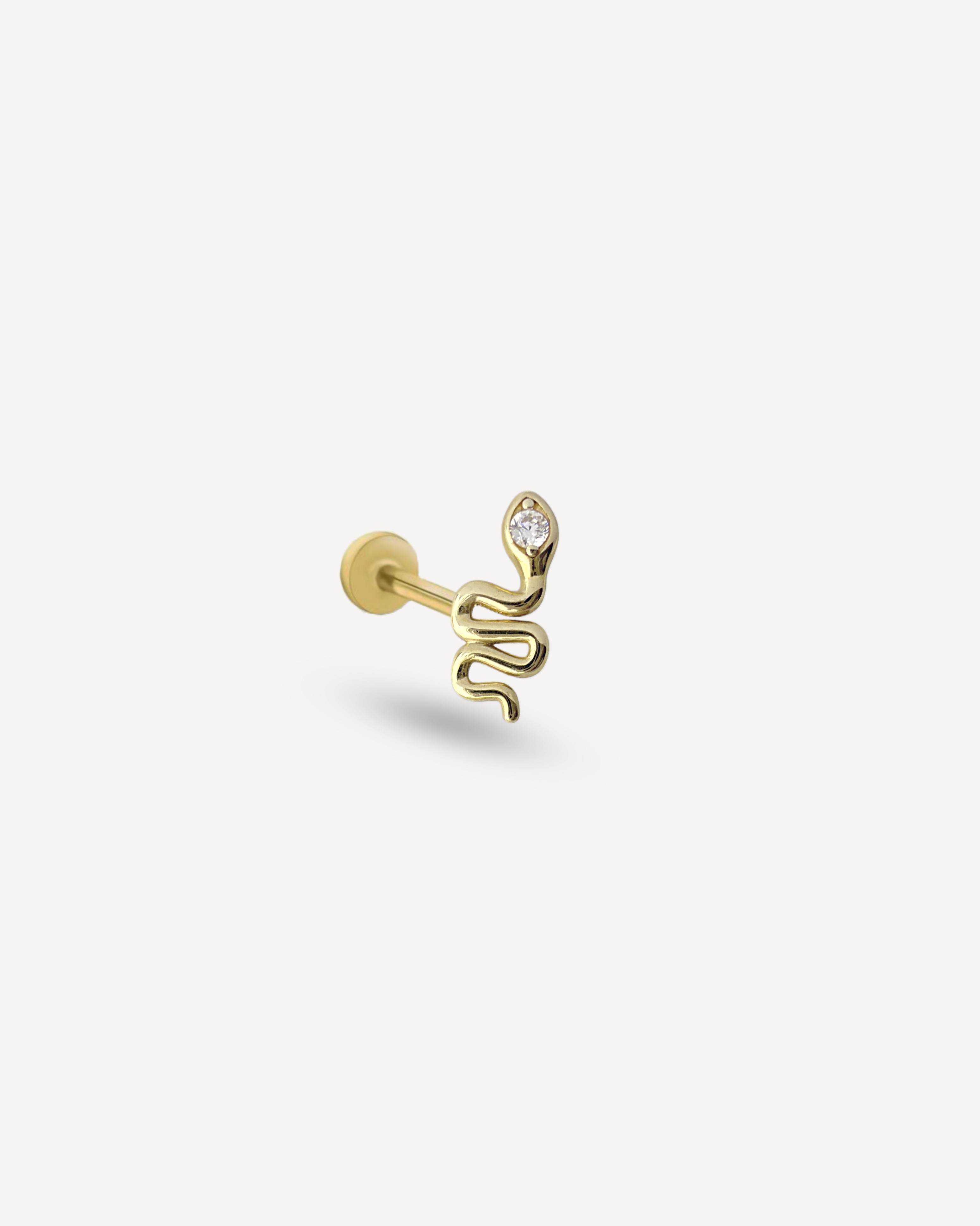 Medusa Tragus