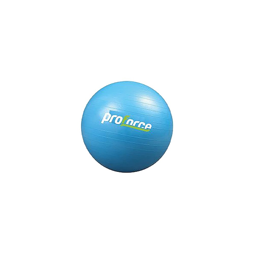 PİLATES TOPU 25 CM