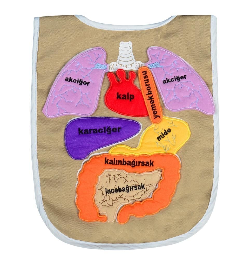 Eğitici Organ Önlüğü