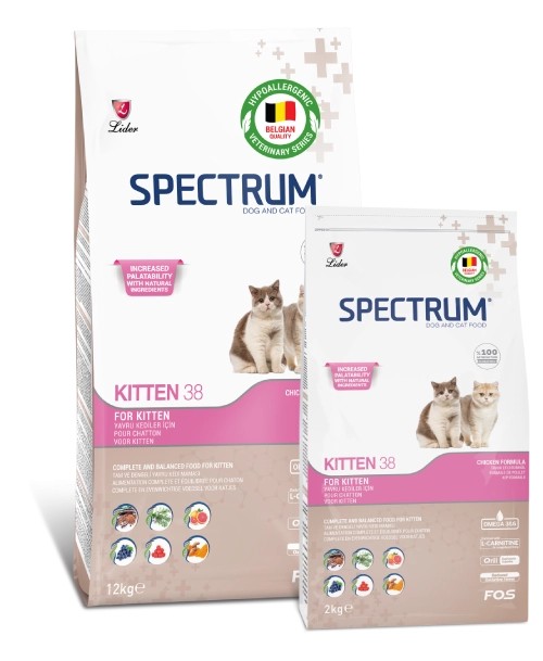 Spectrum Kitten 38 Yavru Kedi Maması 2 Kg