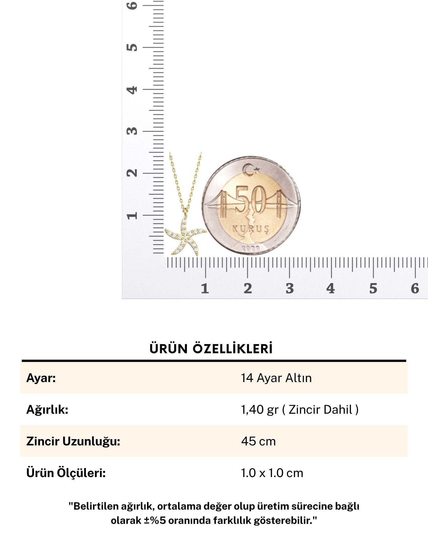 Minik Deniz Yıldızı 14 Ayar Altın Kolye