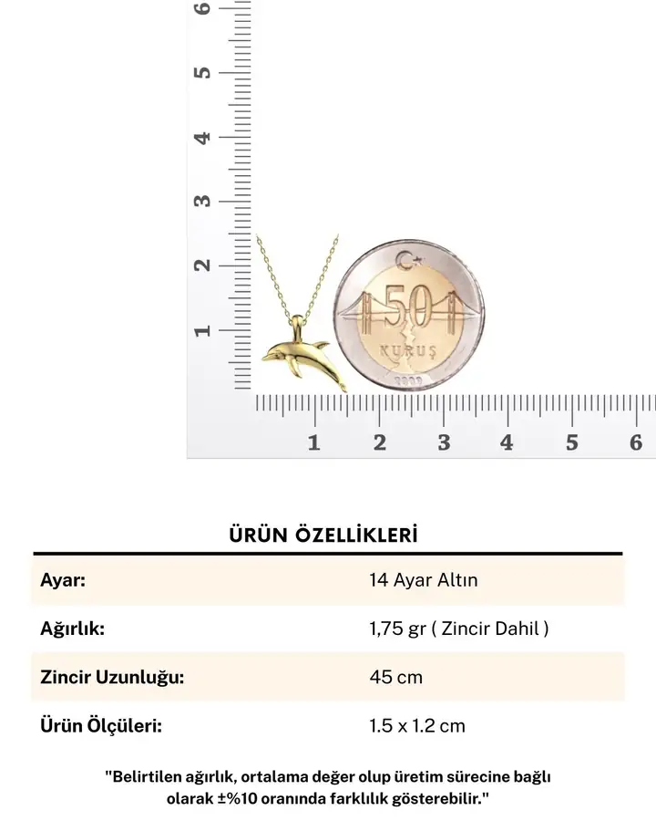 Üç Boyutlu Sade Minik Yunus 14 Ayar Altın Kolye