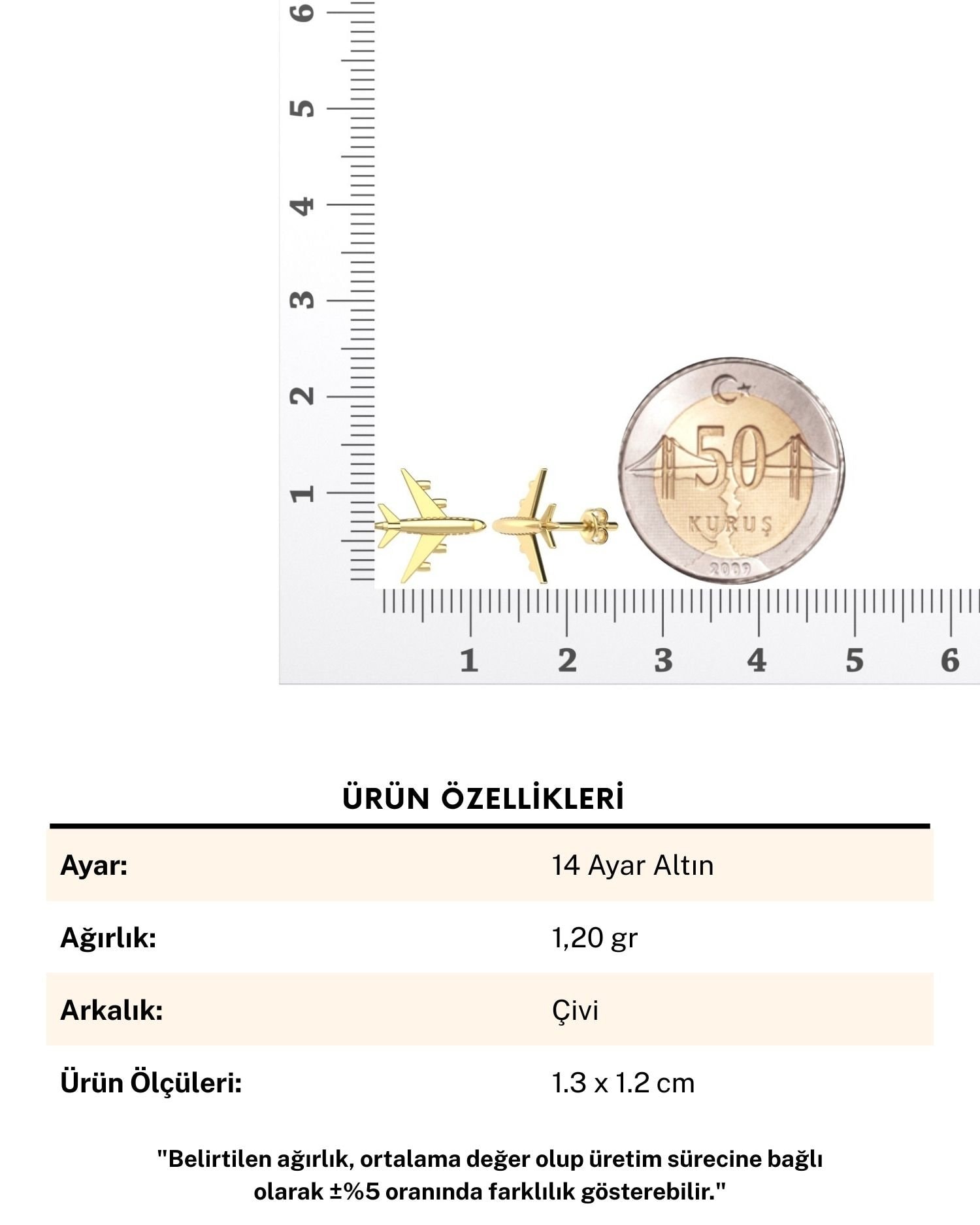 Sade Minik Uçak 14 Ayar Altın Küpe