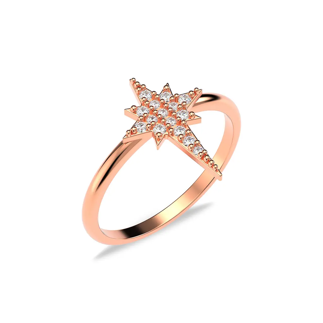 Polar Star Rose Silver Ring