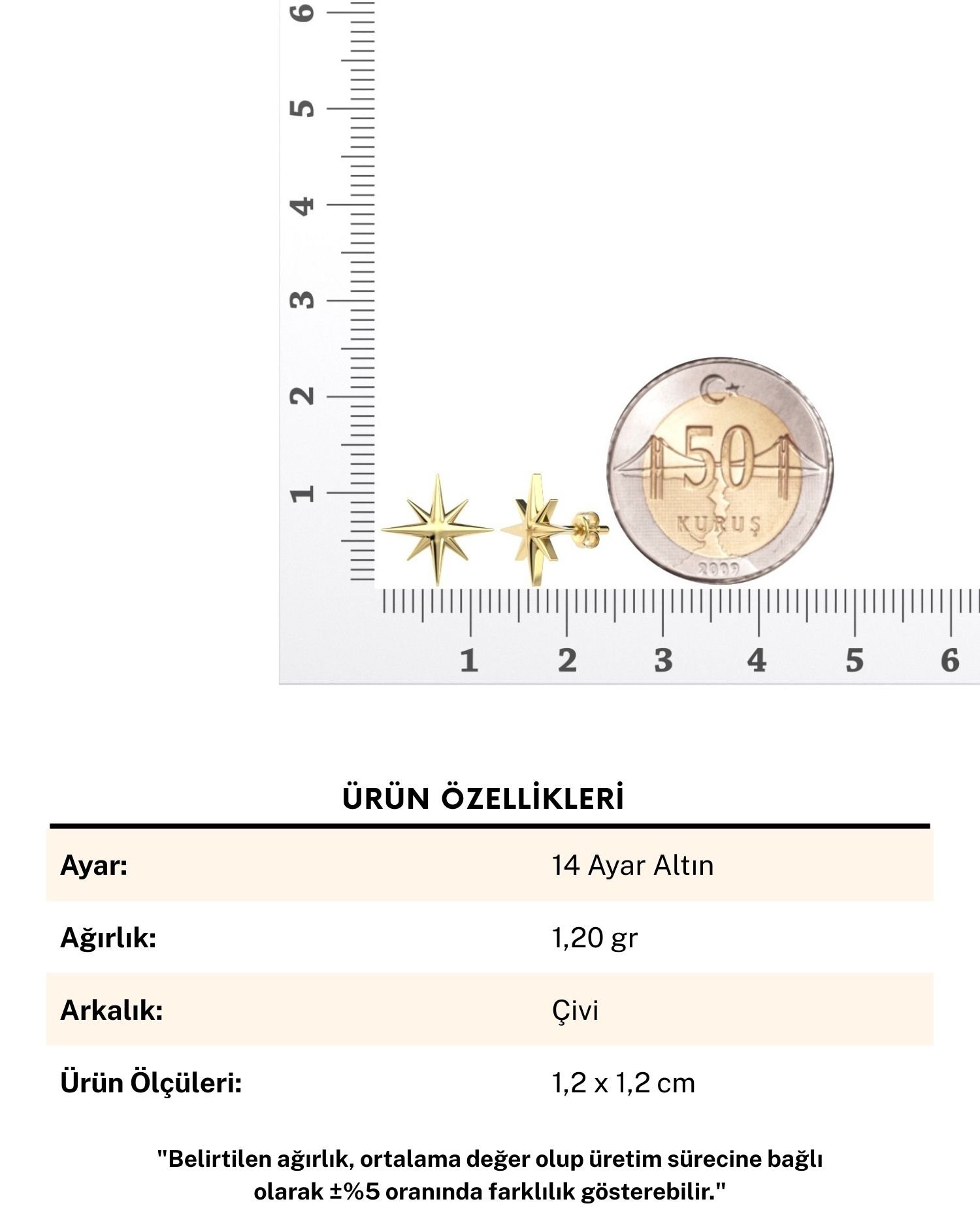 Sade Minik Kutup Yıldızı 14 Ayar Altın Küpe