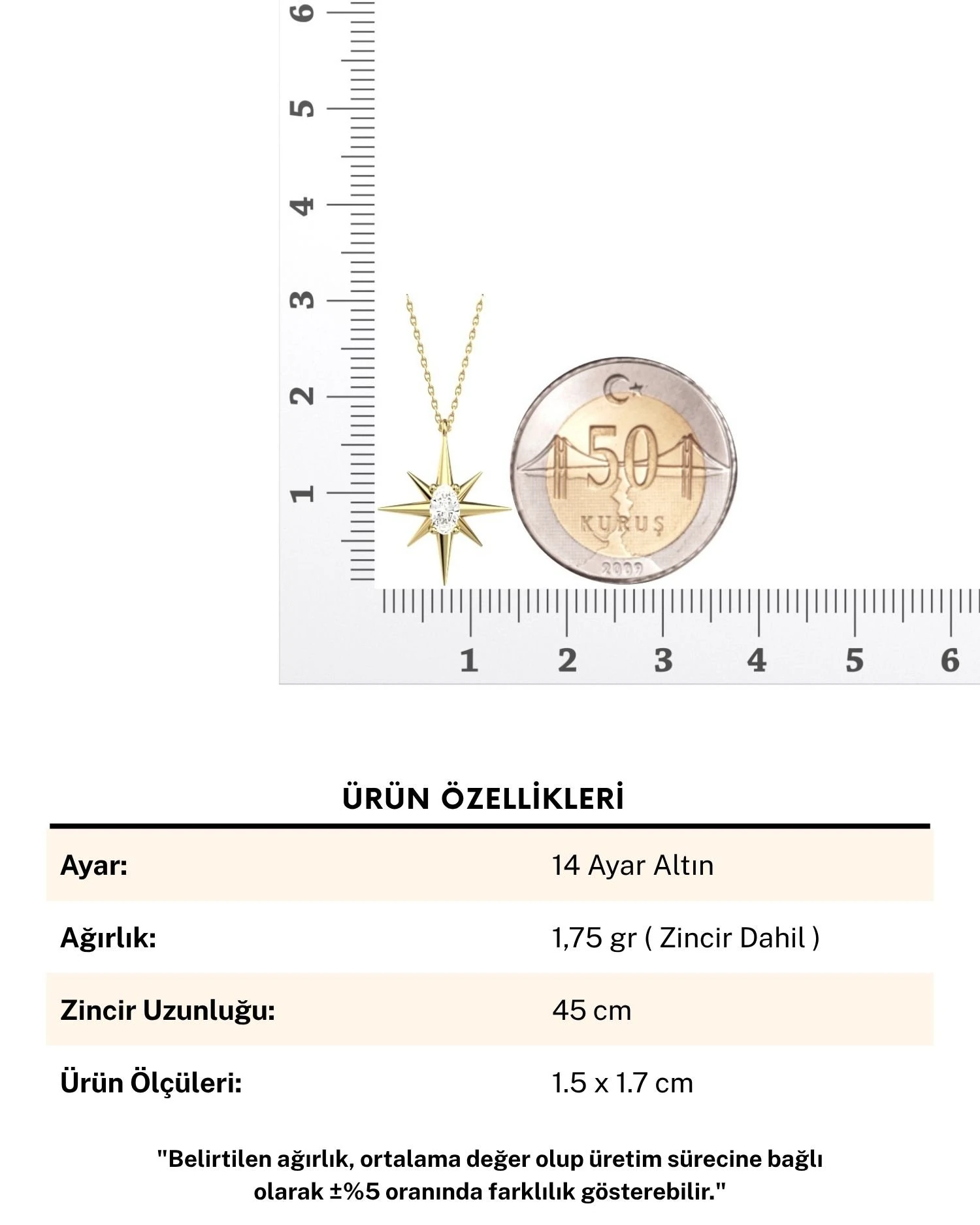 Kuzey Yıldızı Tek Taş 14 Ayar Altın Kolye
