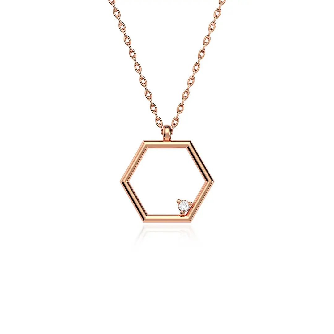 Small Hexagon Frame Rose Silver Necklace