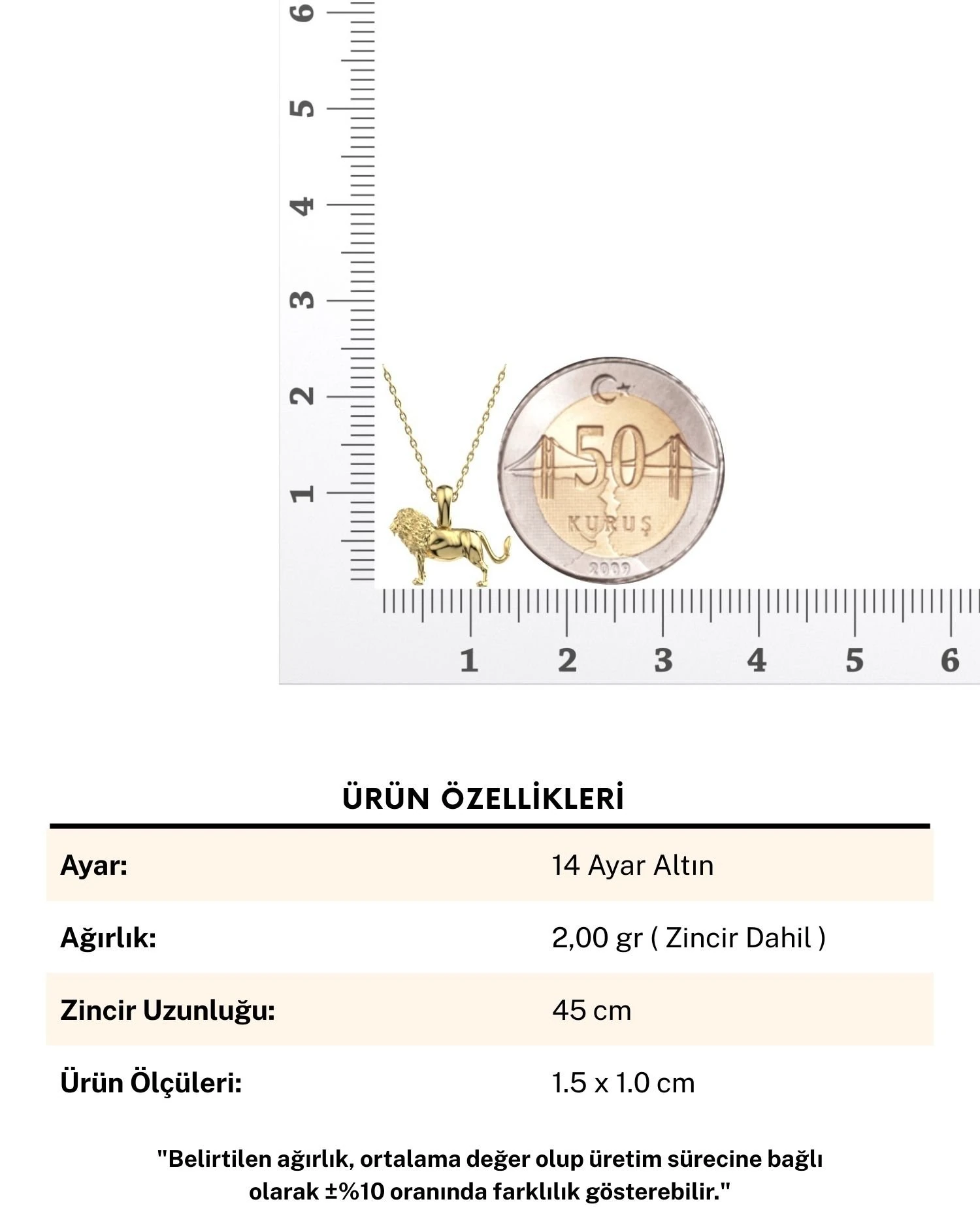 Üç Boyutlu Sade Minik Aslan 14 Ayar Altın Kolye