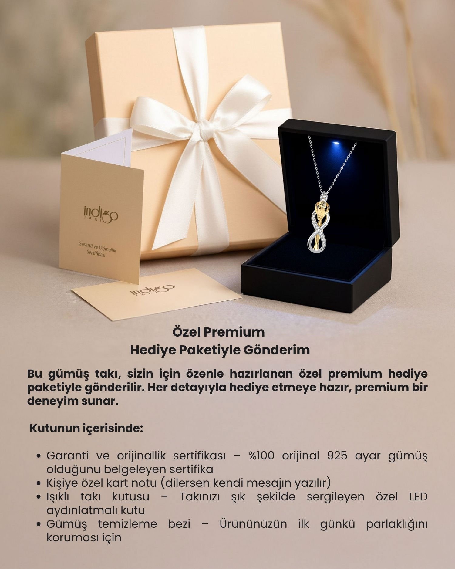 Sarılan Çift Sonsuz Aşk Premium Hediye Kutulu Gümüş Kolye