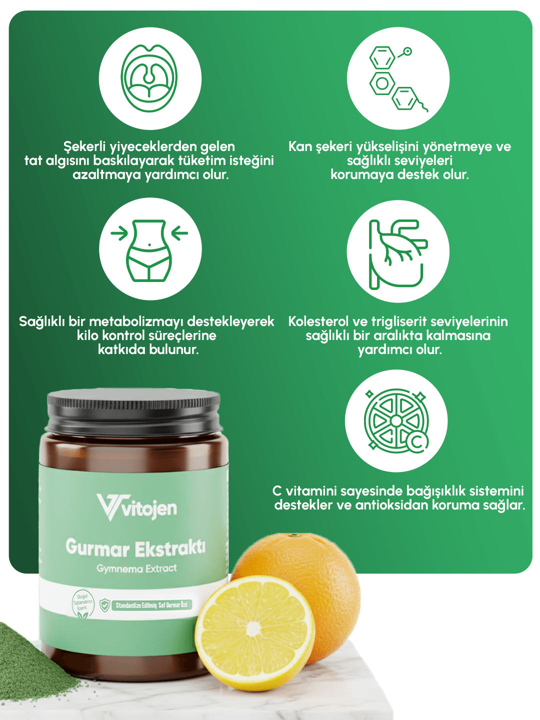 Vitojen Gurmar Ekstraktı