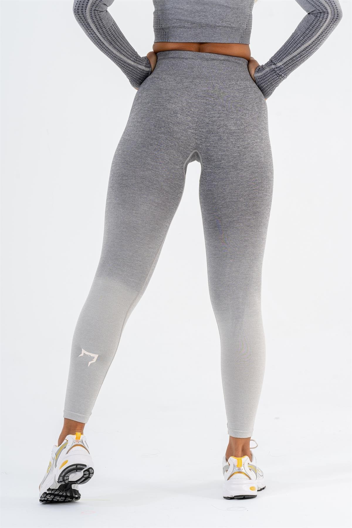 Gymwolves Dikişsiz Spor Tayt | Gri | Seamles Leggings | Ombre Serisi |
