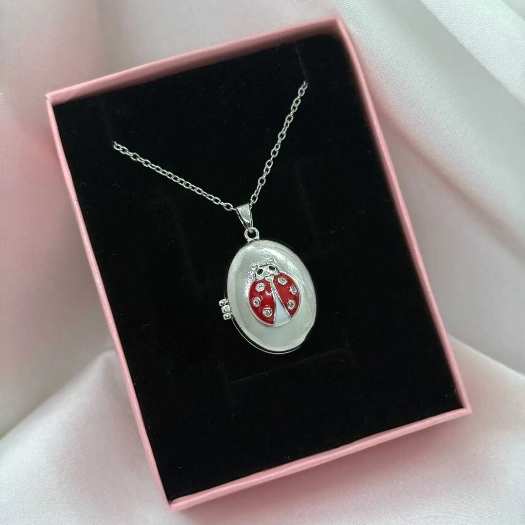 Çelik | Şans Open Locket Kolye