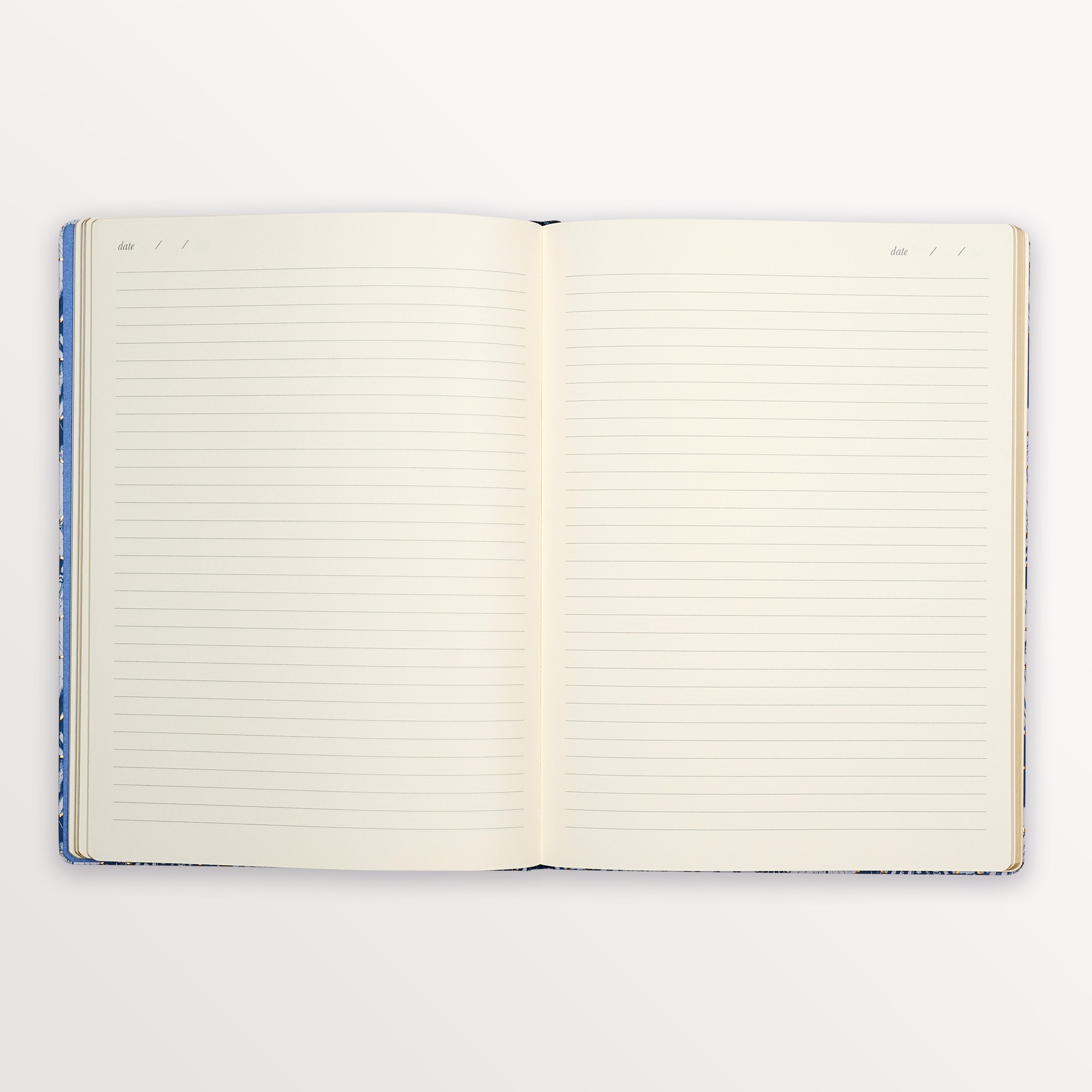 Episode Ciltli To The Shore  XL 88 Yp. Defter - Gilded Scallop