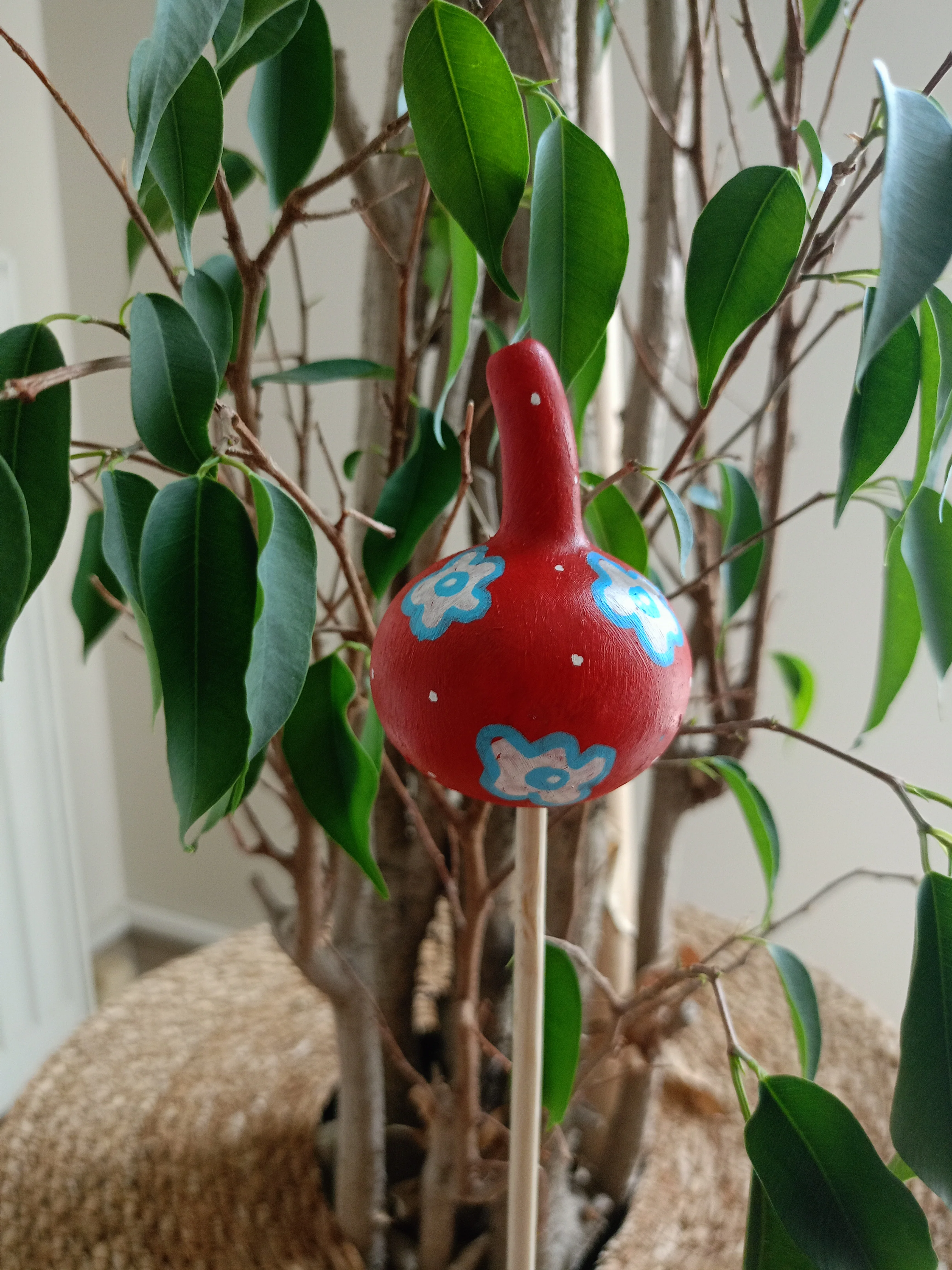 Su Kabağı Saksı & Bahçe Süsü