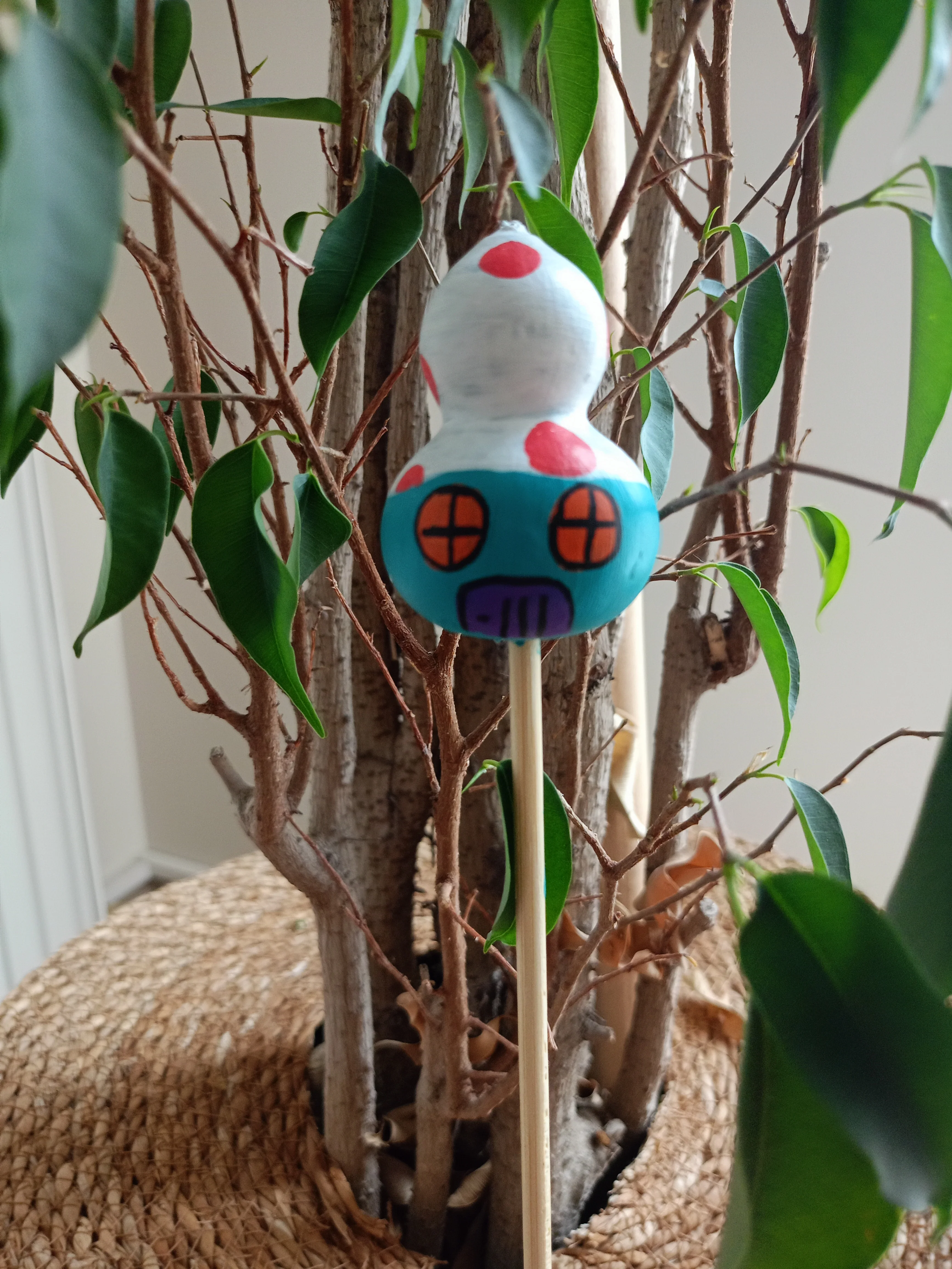 Su Kabağı Saksı & Bahçe Süsü