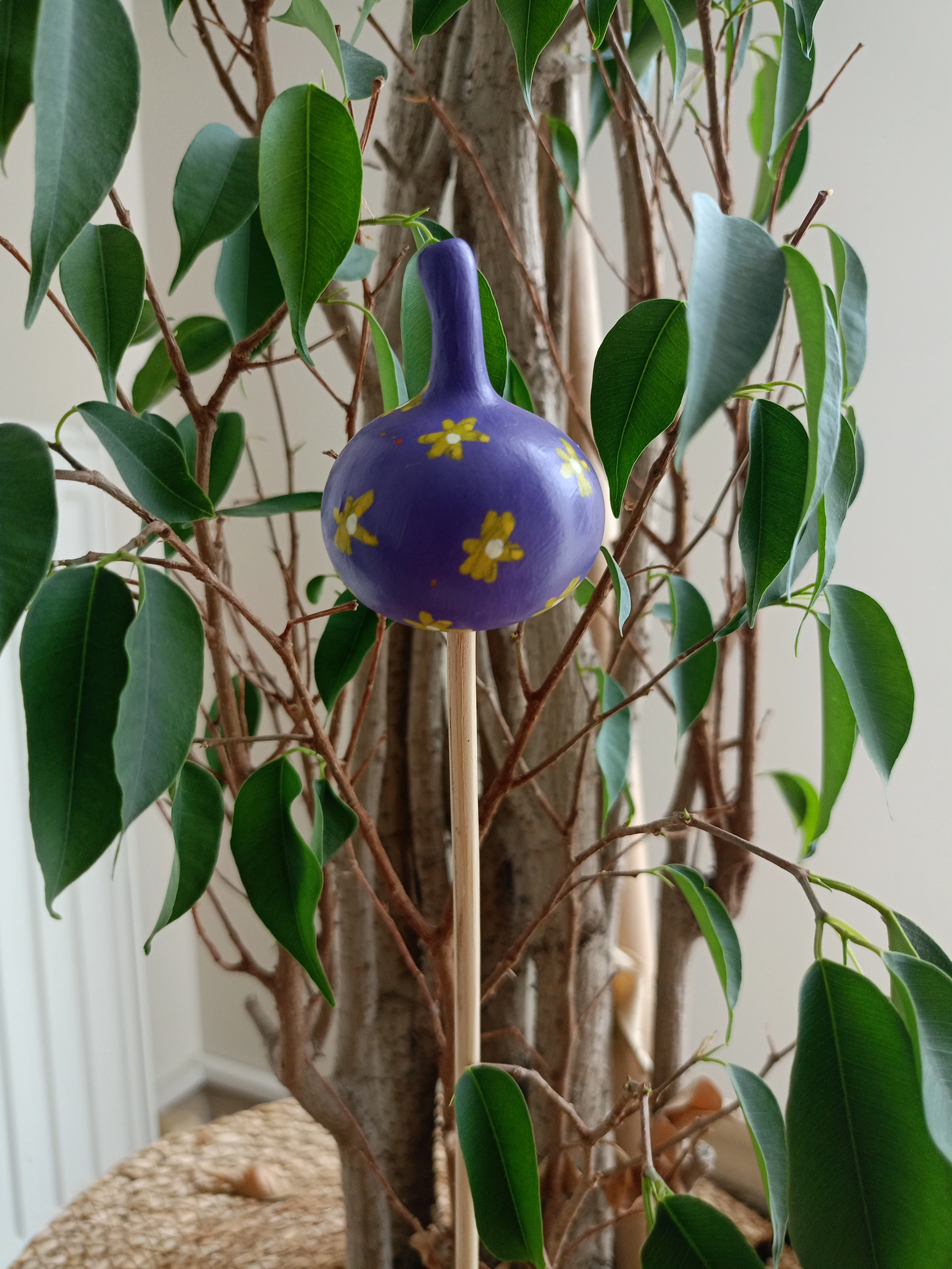 Su Kabağı Saksı & Bahçe Süsü