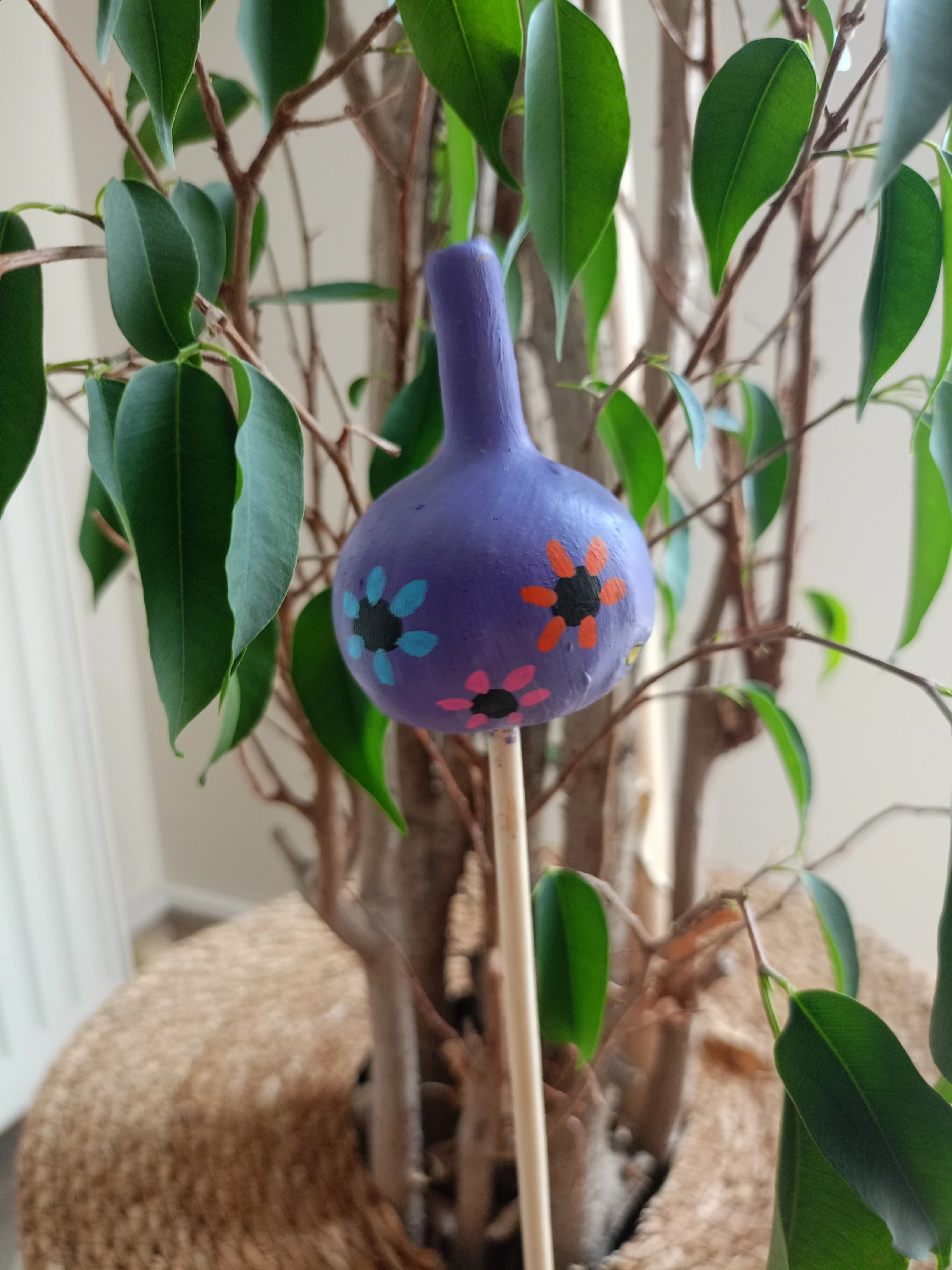 Su Kabağı Saksı & Bahçe Süsü