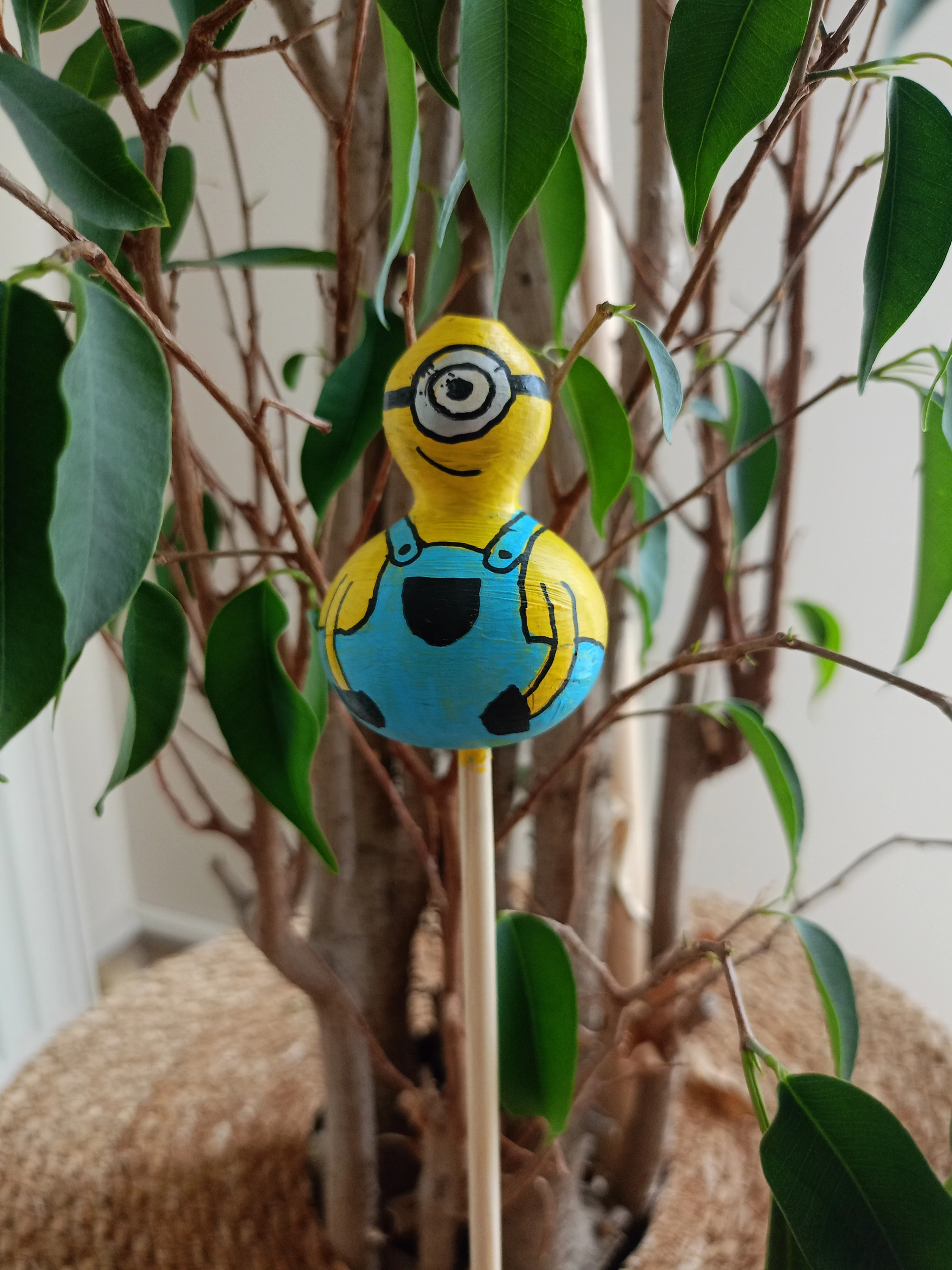 Su Kabağı Saksı & Bahçe Süsü