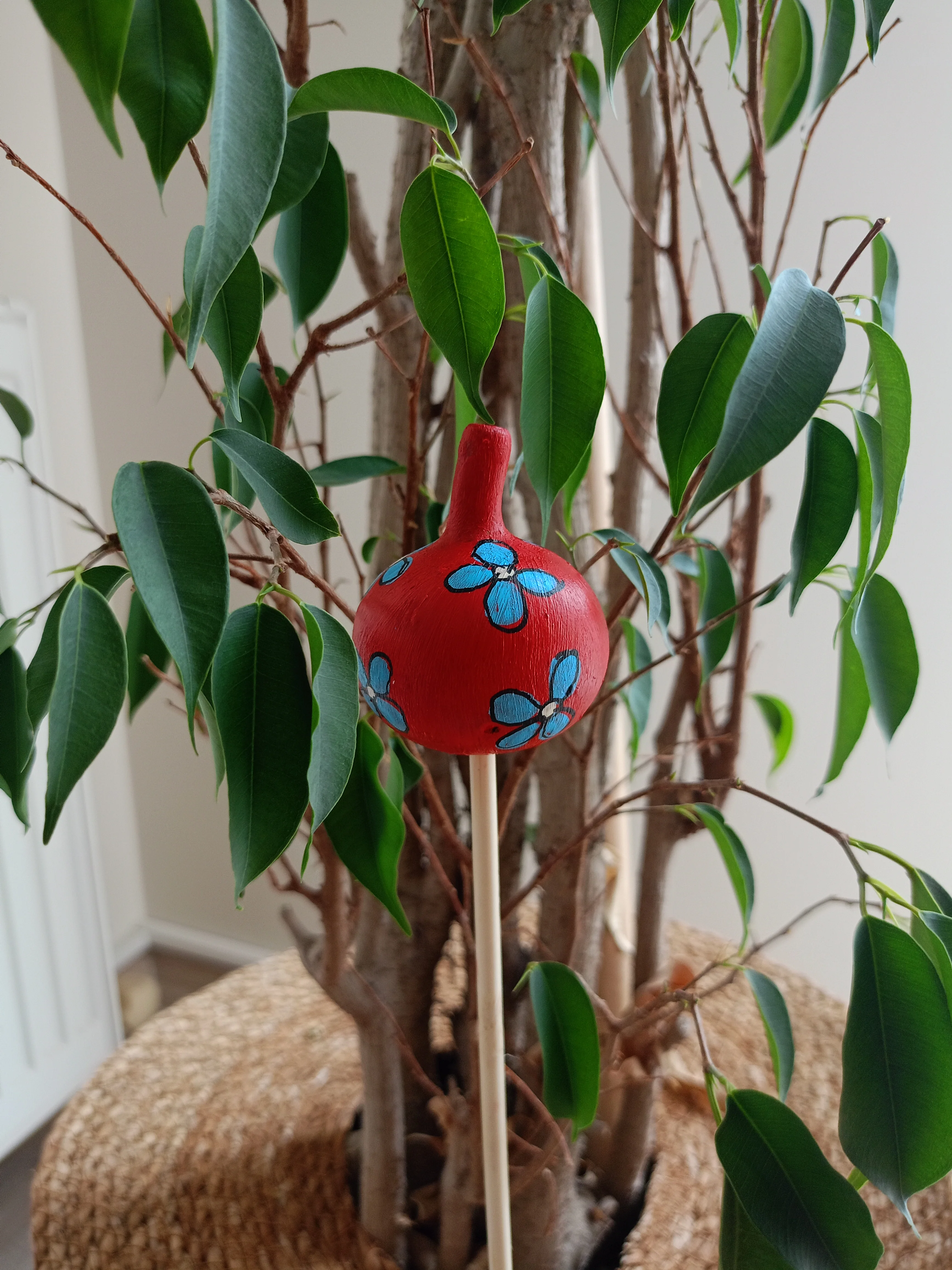 Su Kabağı Saksı & Bahçe Süsü