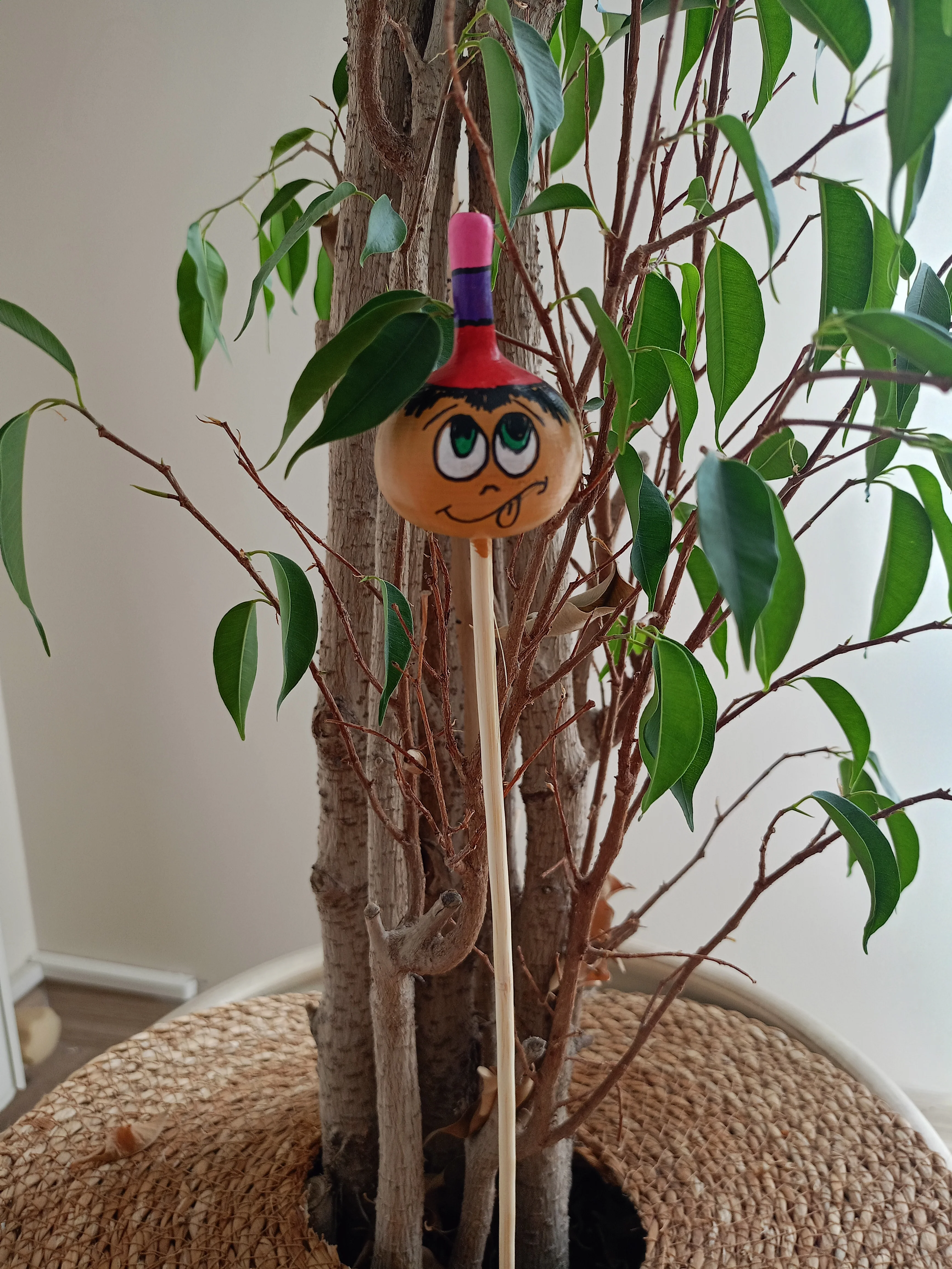 Su kabağı saksı süsü