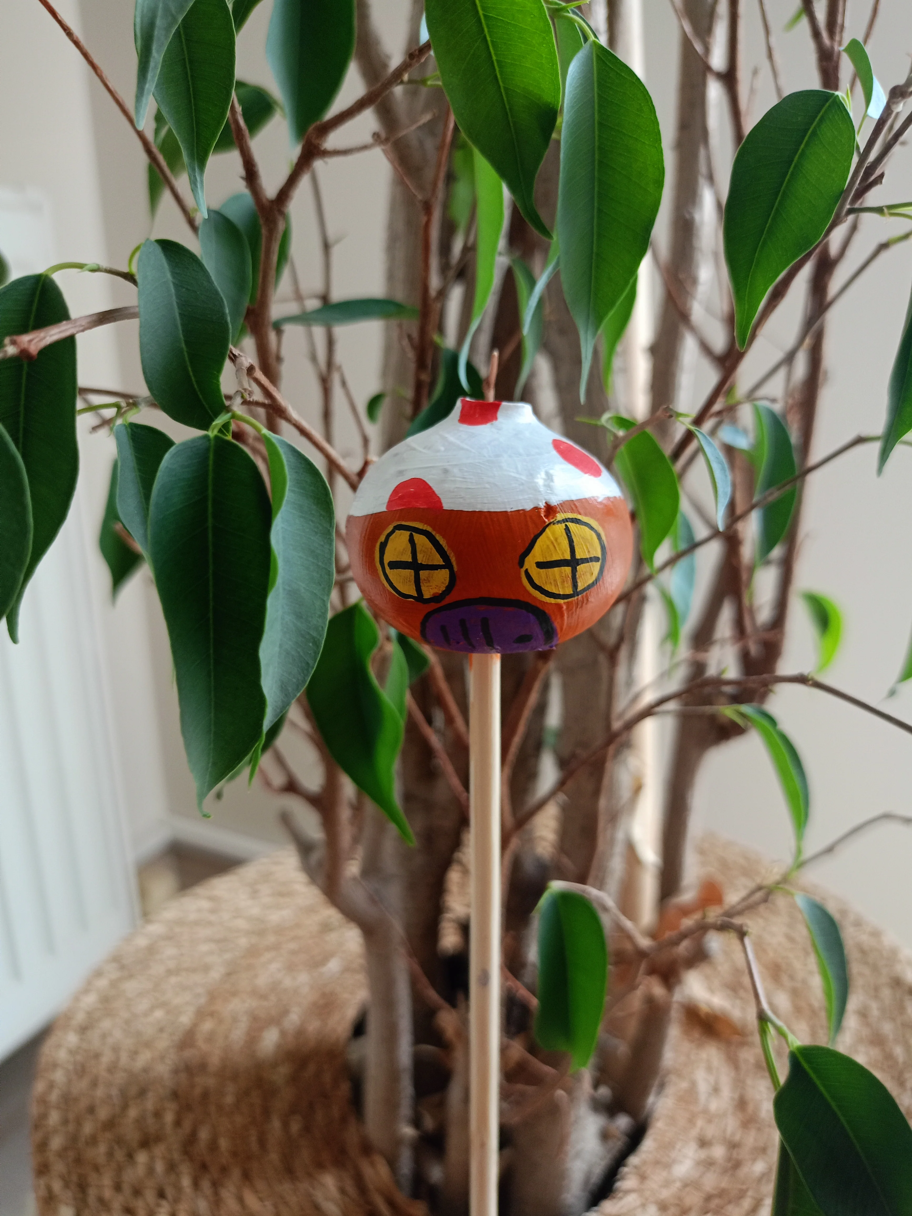 Su Kabağı Saksı & Bahçe Süsü