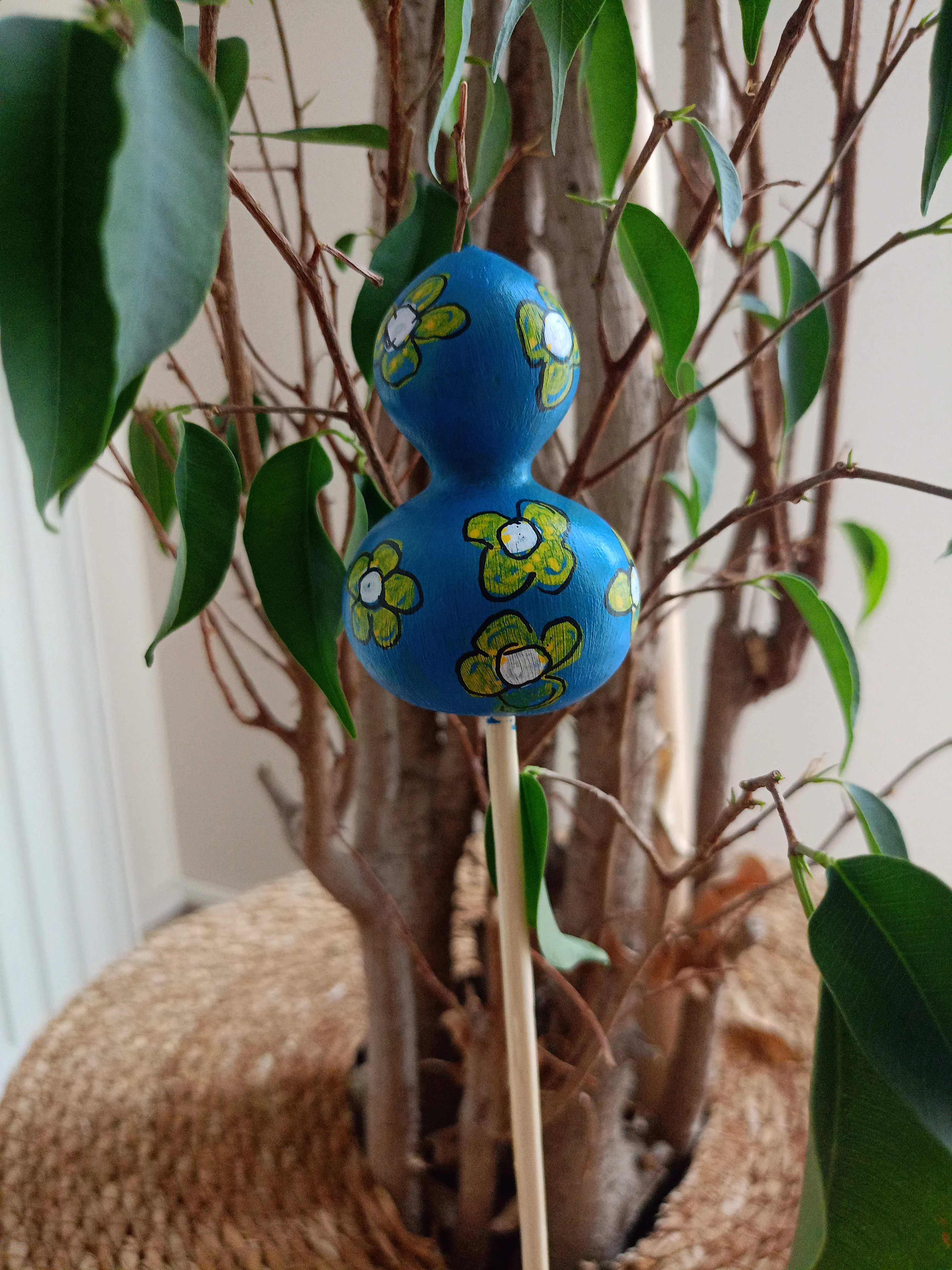 Su Kabağı Saksı & Bahçe Süsü