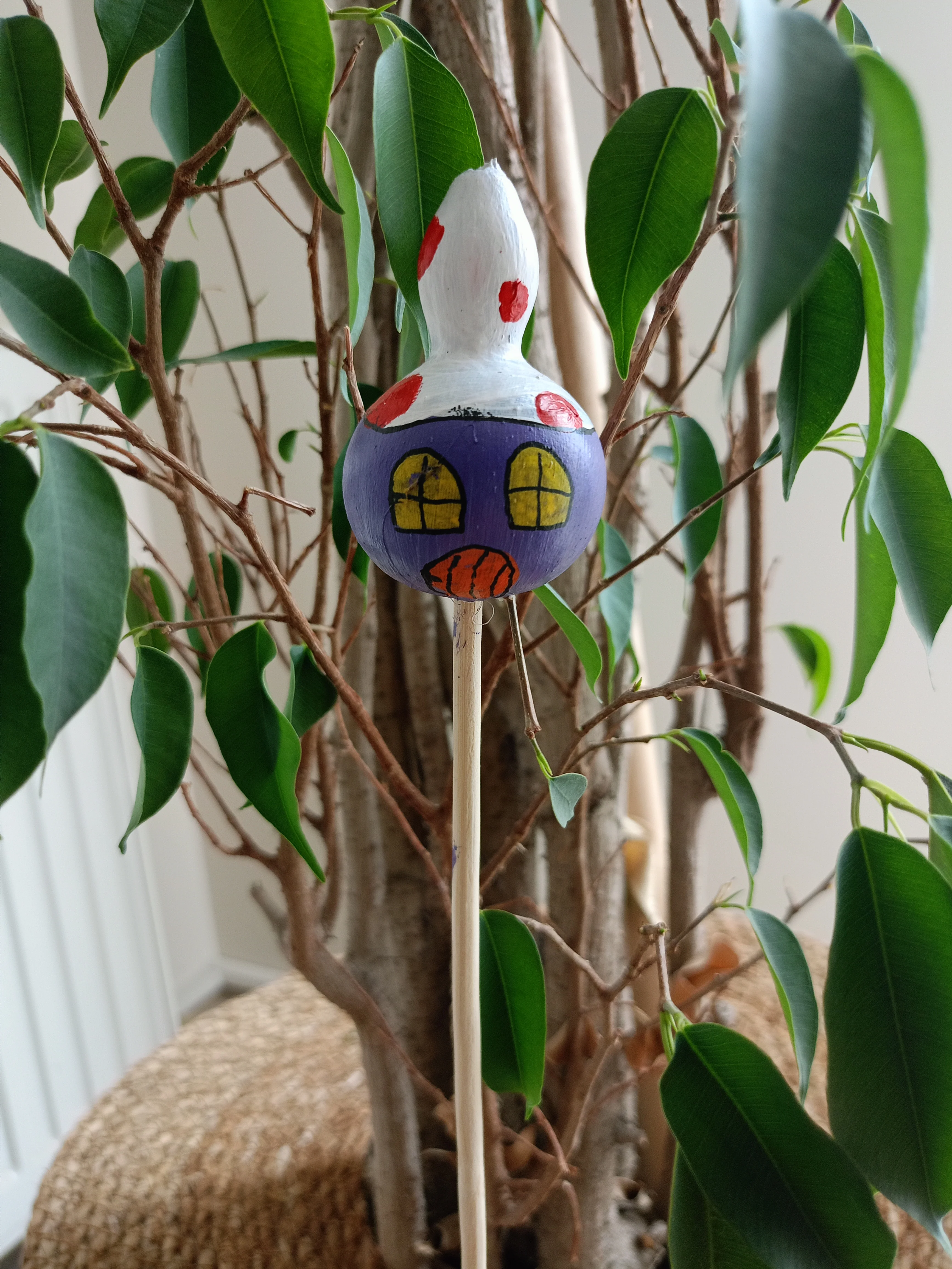 Su Kabağı Saksı & Bahçe Süsü