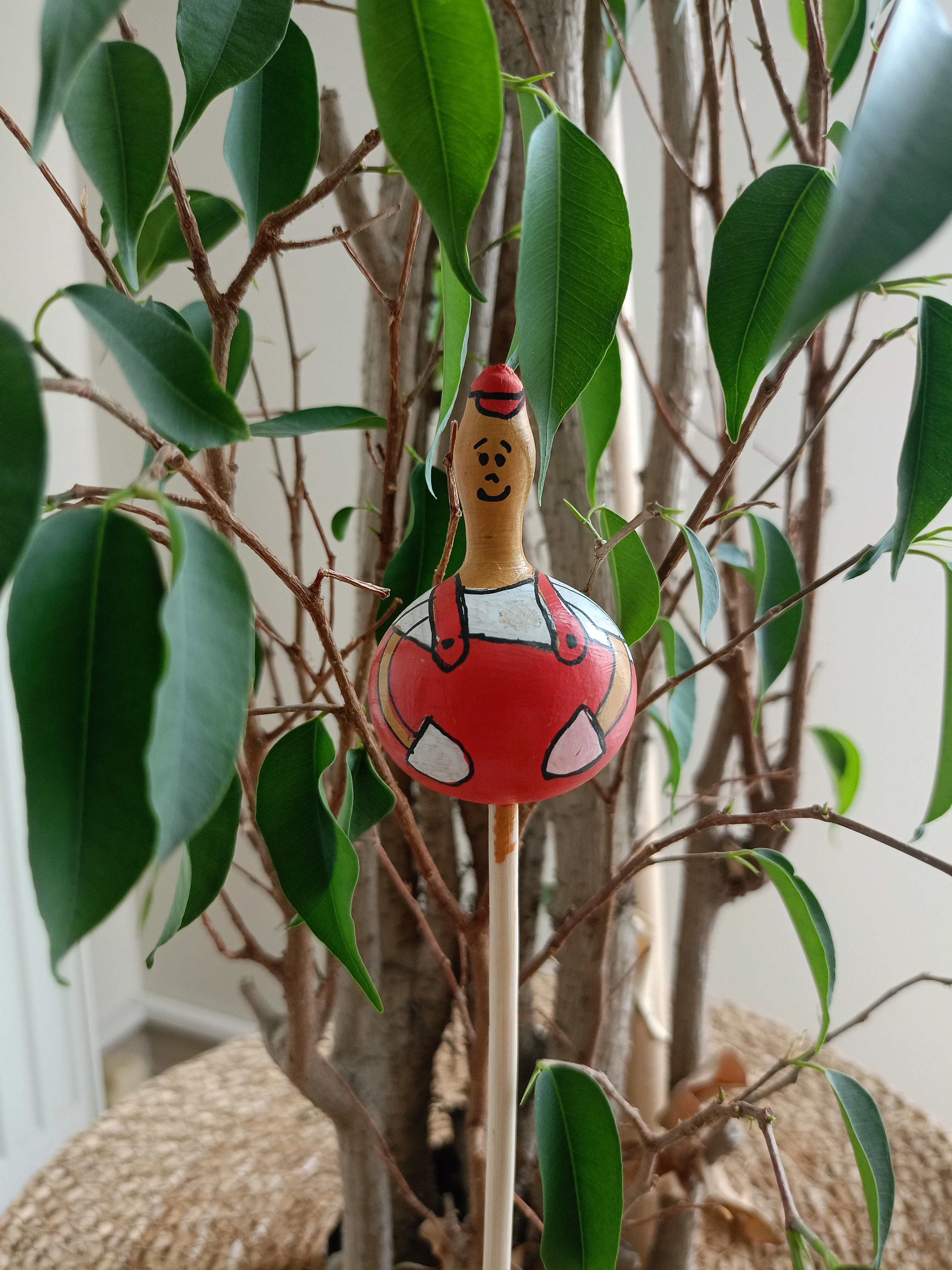 Su Kabağı Saksı & Bahçe Süsü