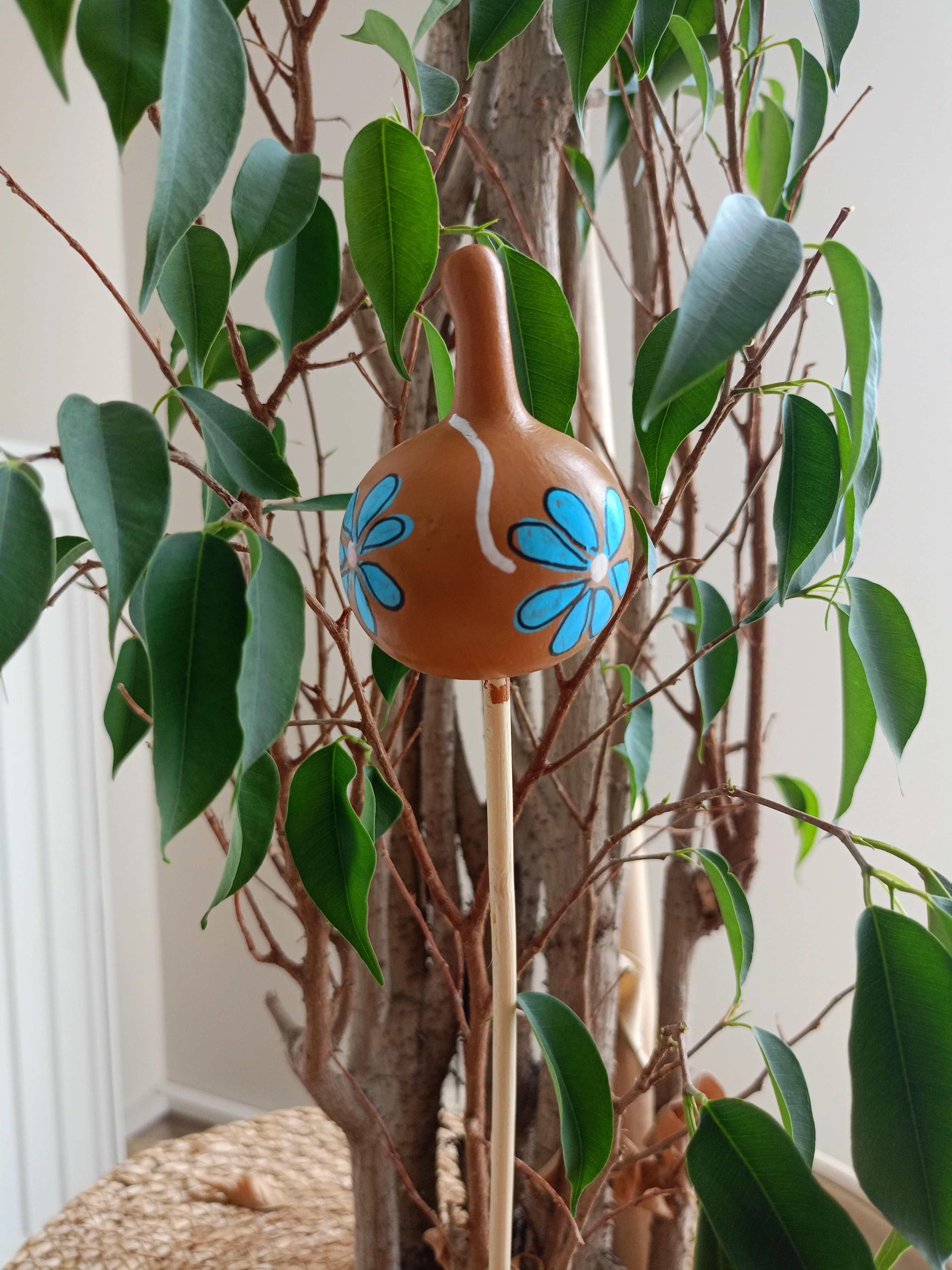 Su Kabağı Saksı & Bahçe Süsü