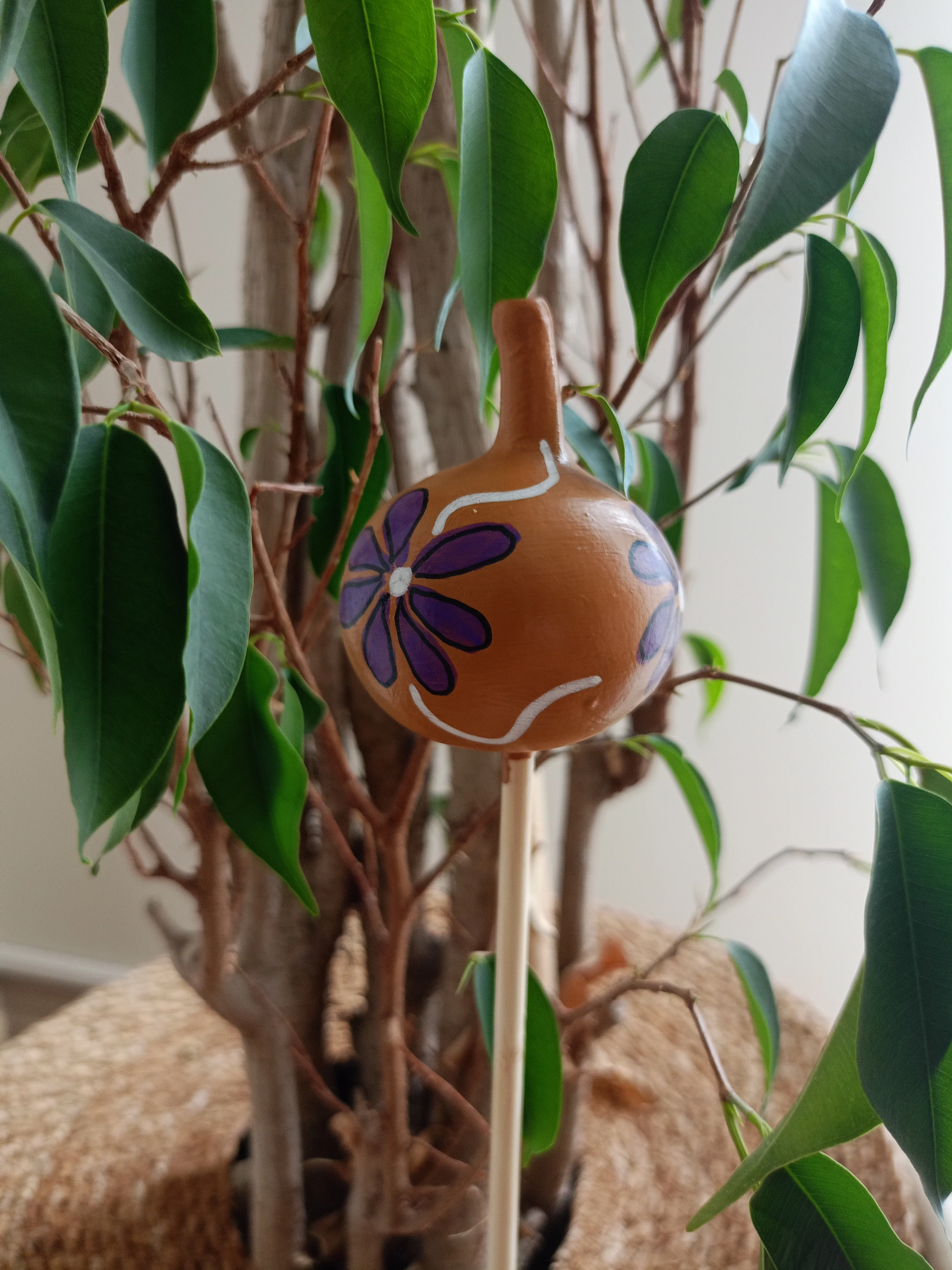 Su Kabağı Saksı & Bahçe Süsü