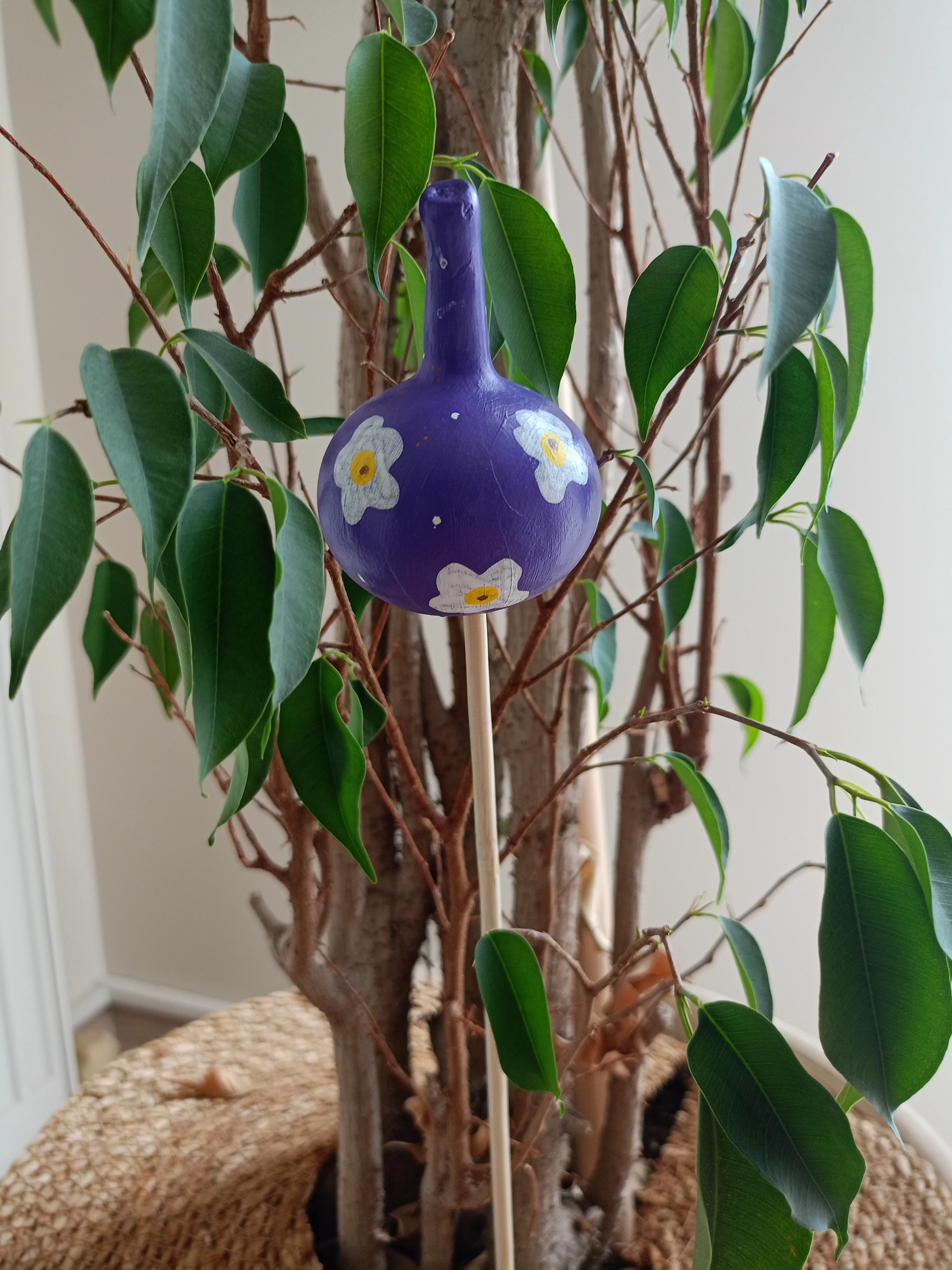 Su Kabağı Saksı & Bahçe Süsü