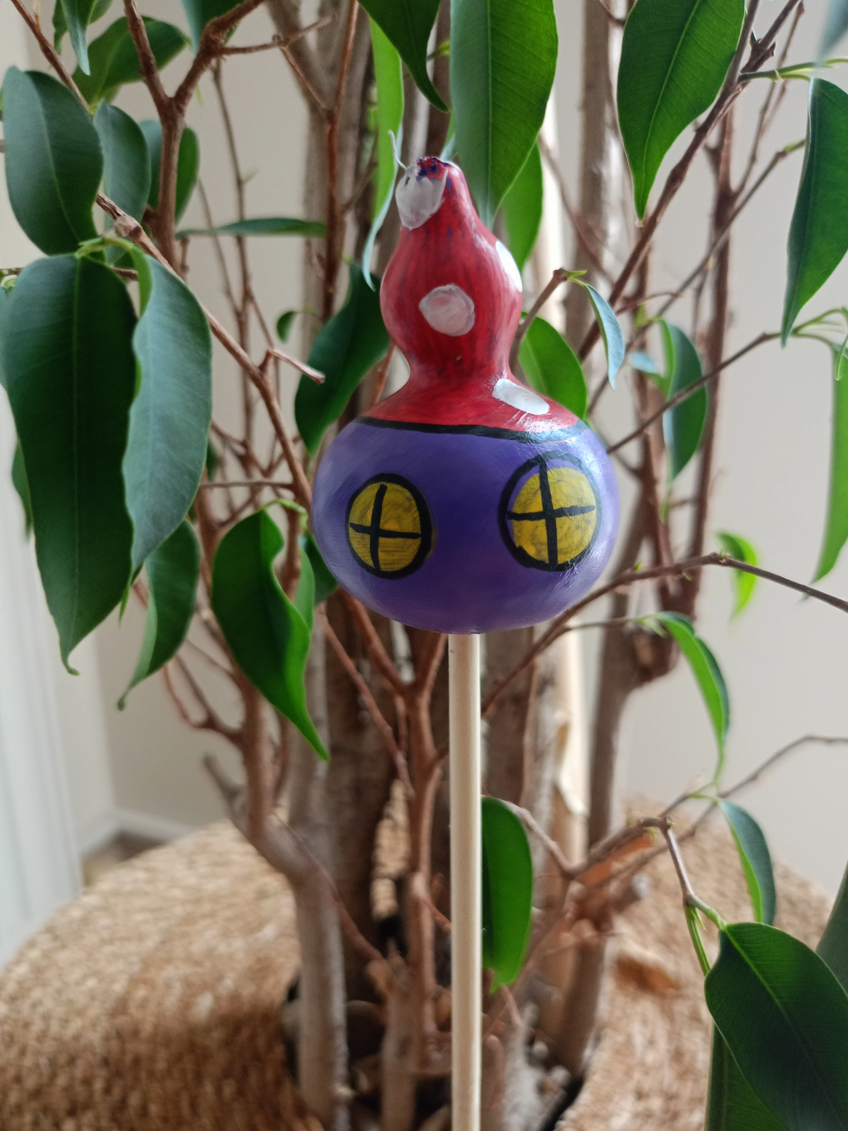 Su Kabağı Saksı & Bahçe Süsü