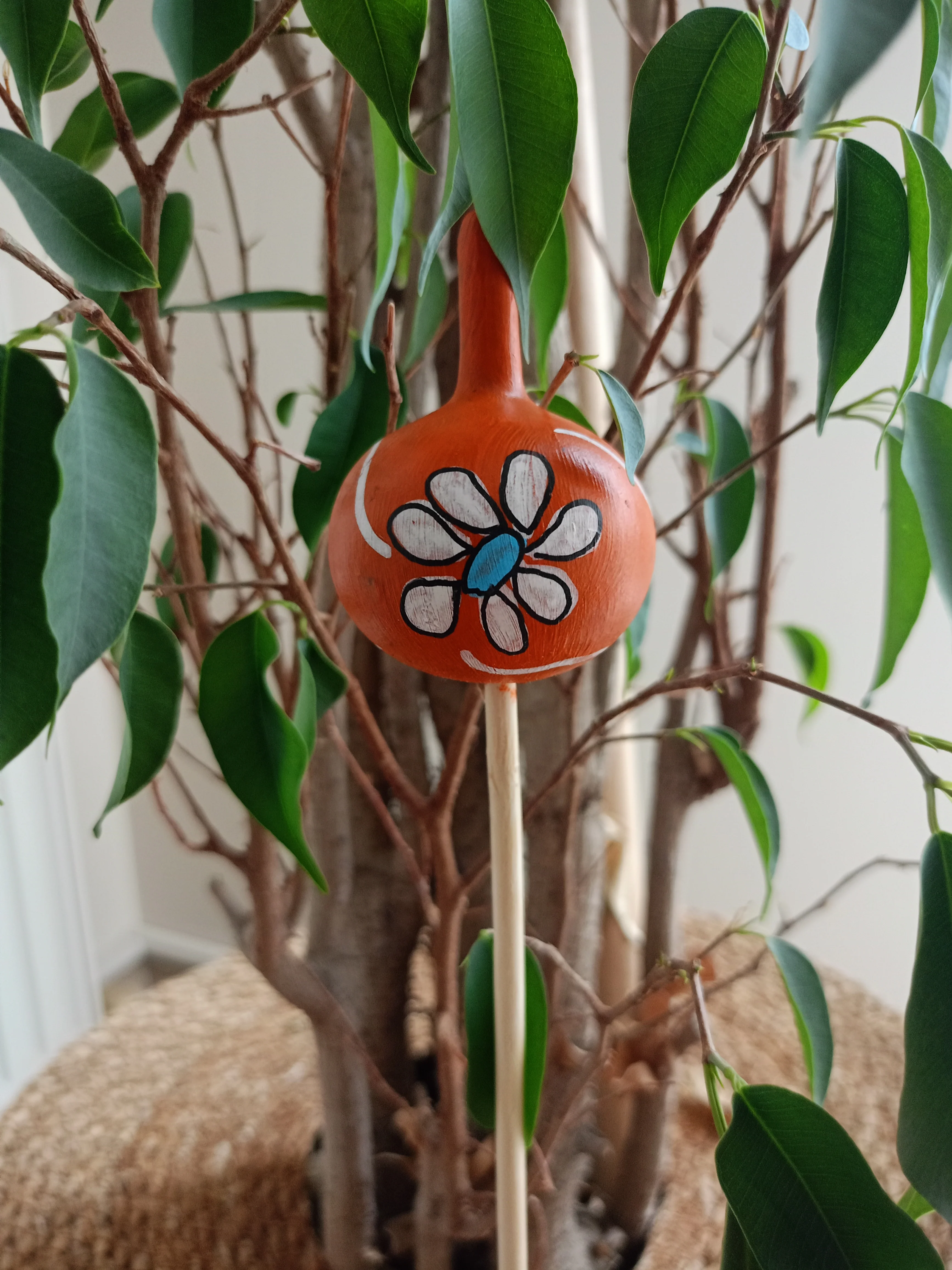 Su Kabağı Saksı & Bahçe Süsü