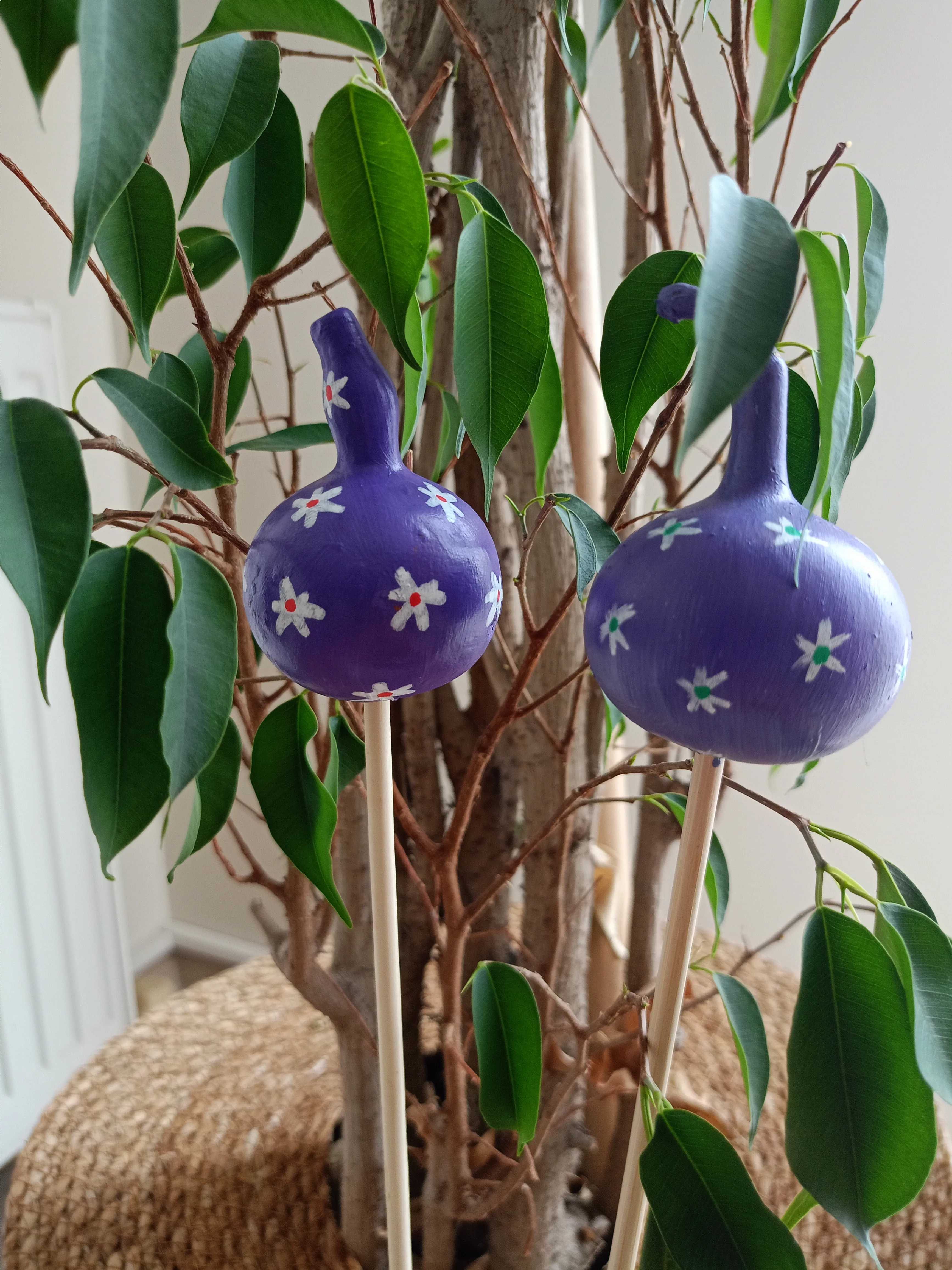 Su Kabağı Saksı & Bahçe Süsü