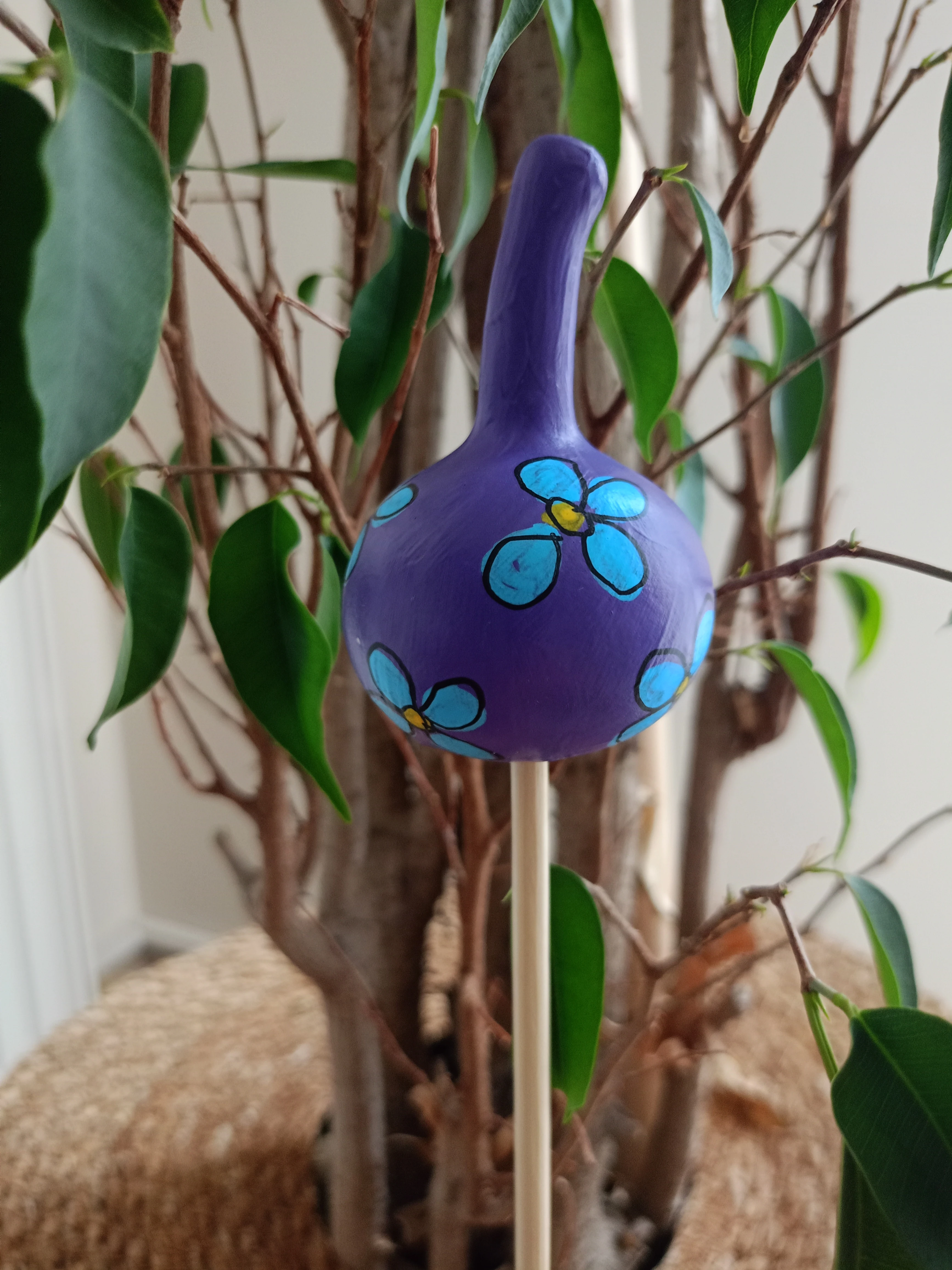 Su Kabağı Saksı & Bahçe Süsü