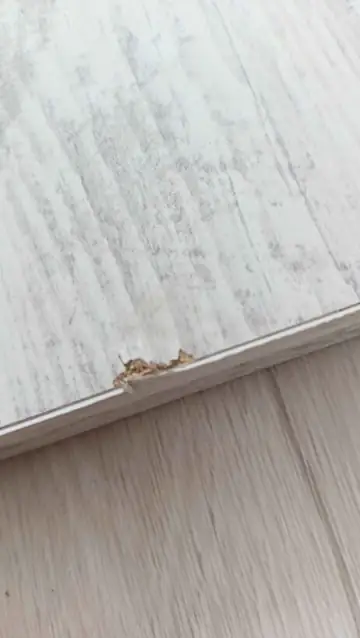 Müşteri fotoğrafı: Erendiz 4lü Ahşap Ayaklı Zigon Sehpa XL Kristal