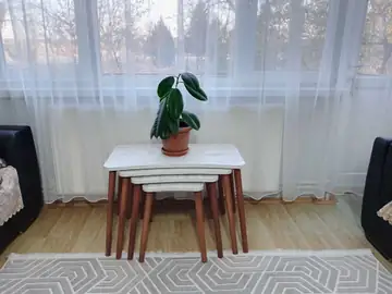 Müşteri fotoğrafı: Erendiz 4lü Ahşap Ayaklı Zigon Sehpa XL Kristal