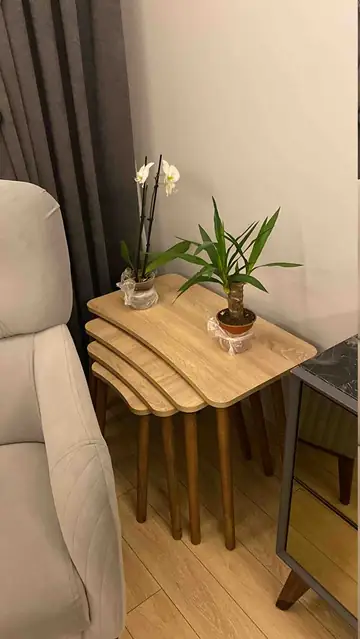 Müşteri fotoğrafı: Erendiz 4lü Ahşap Ayaklı Zigon Sehpa XL Sonoma